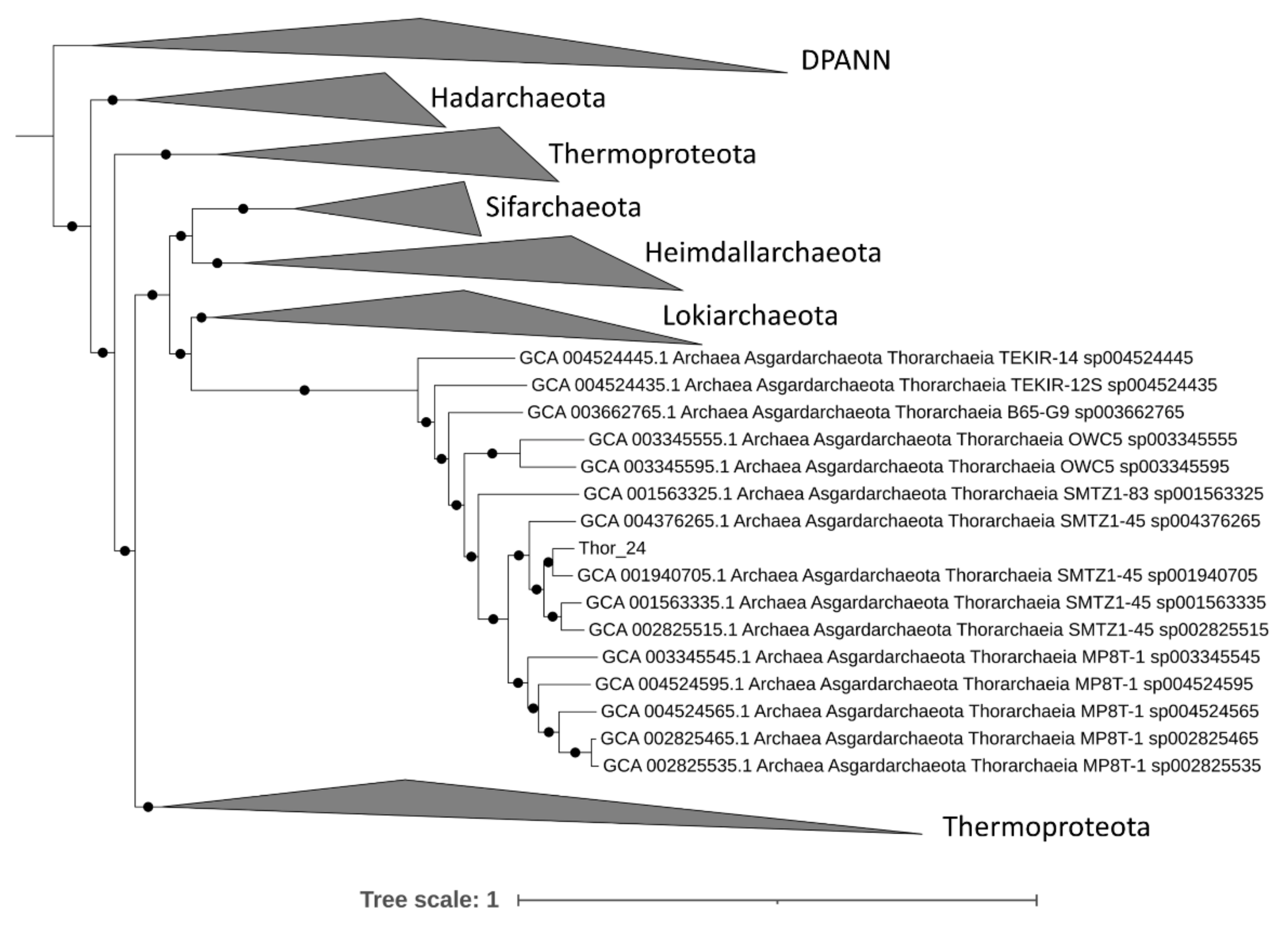 Microorganisms 09 00859 g001