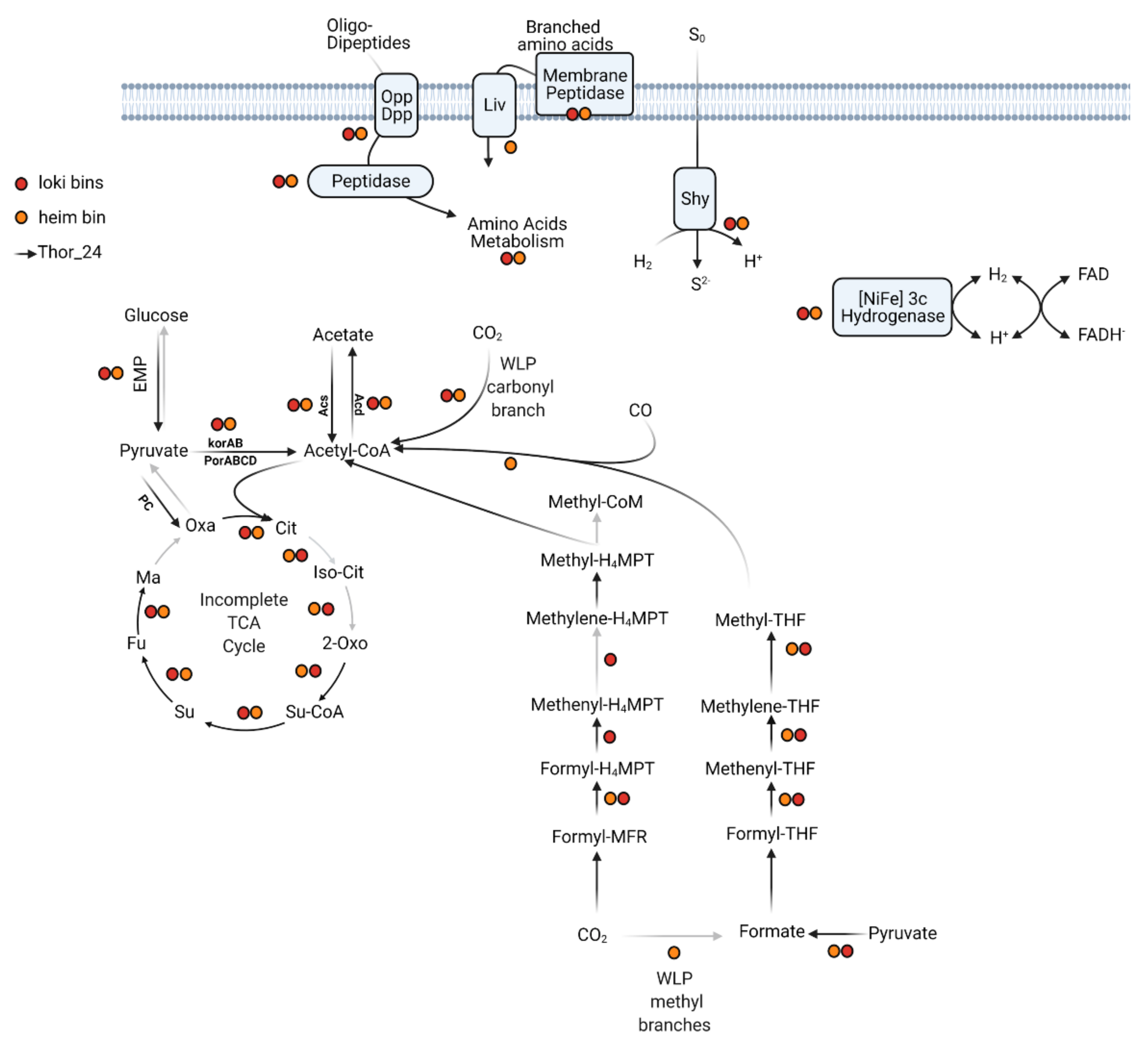 Microorganisms 09 00859 g002