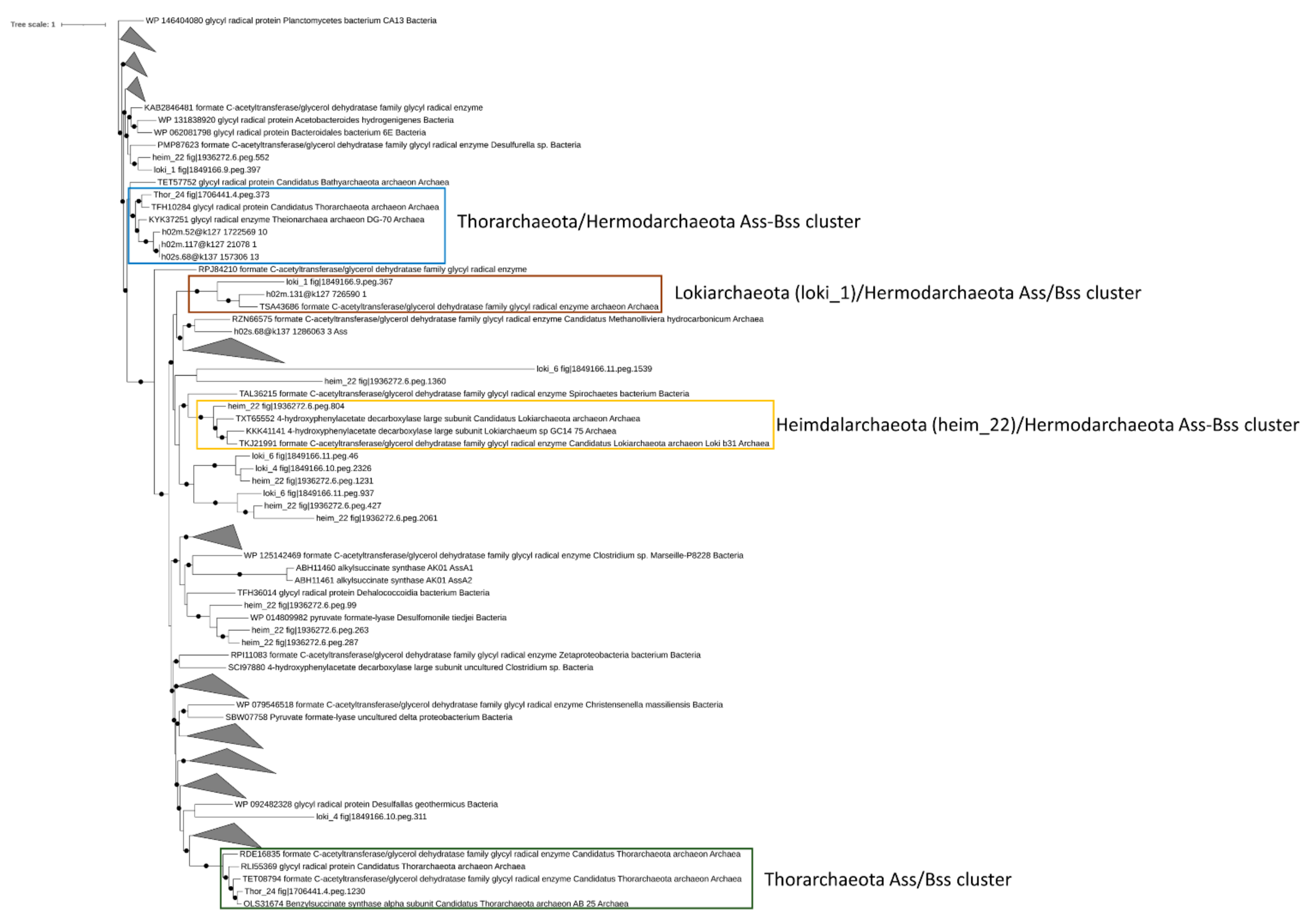 Microorganisms 09 00859 g004