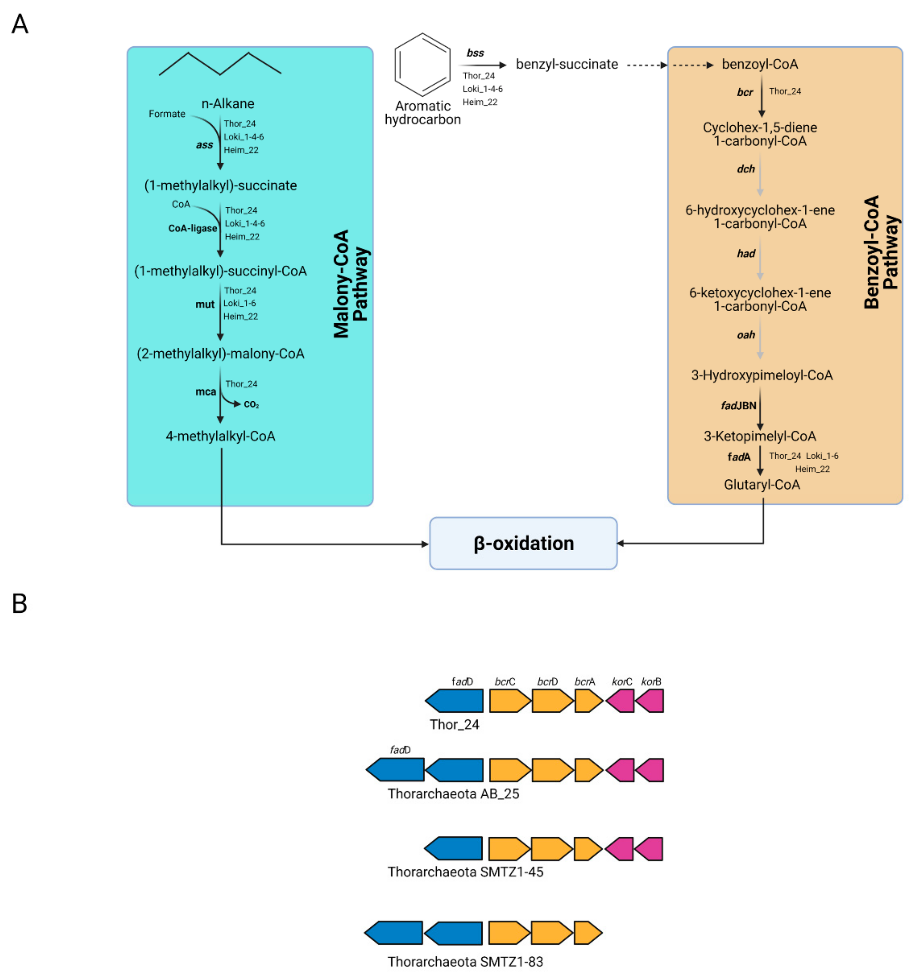 Microorganisms 09 00859 g005