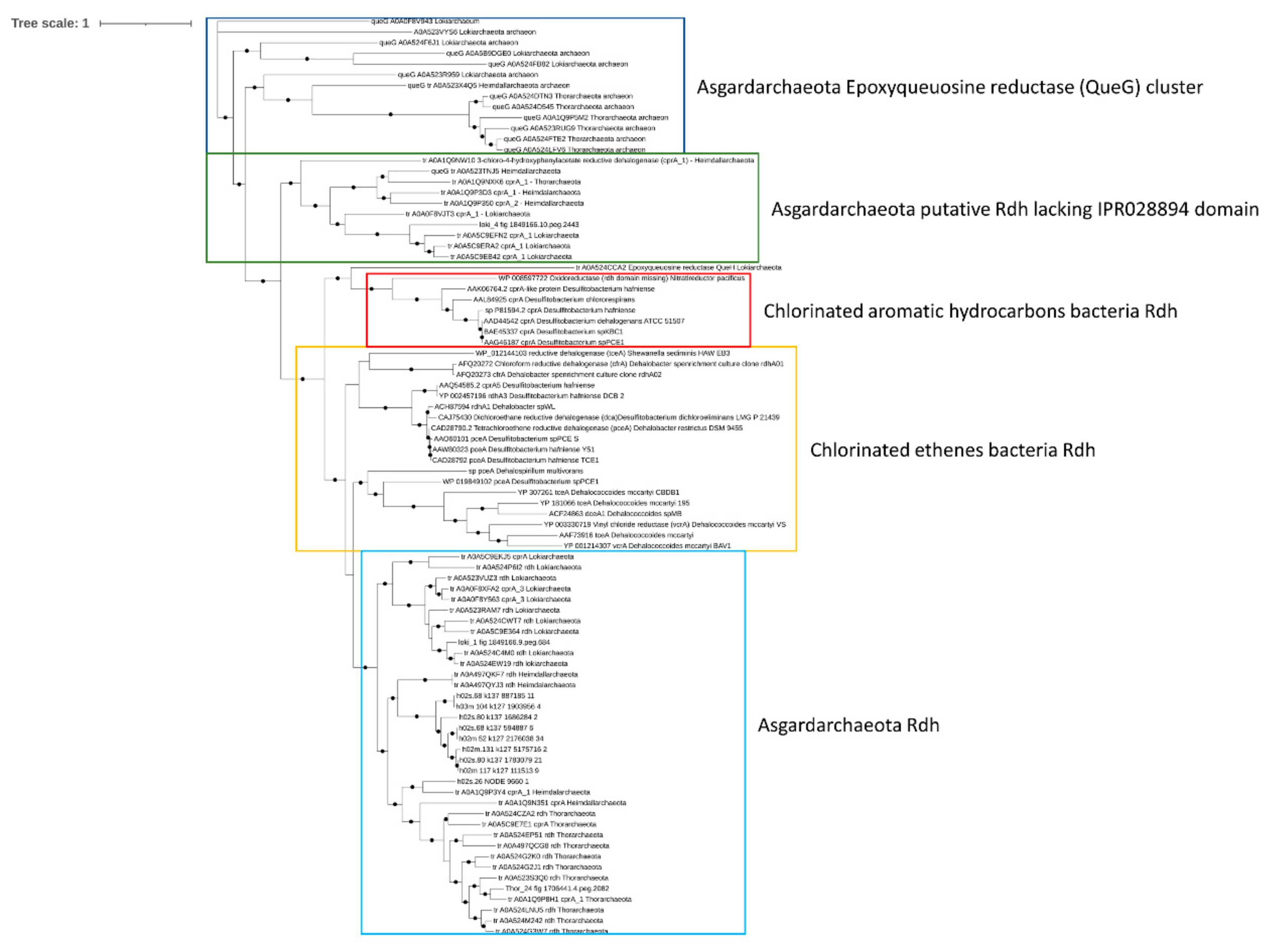 Microorganisms 09 00859 g006
