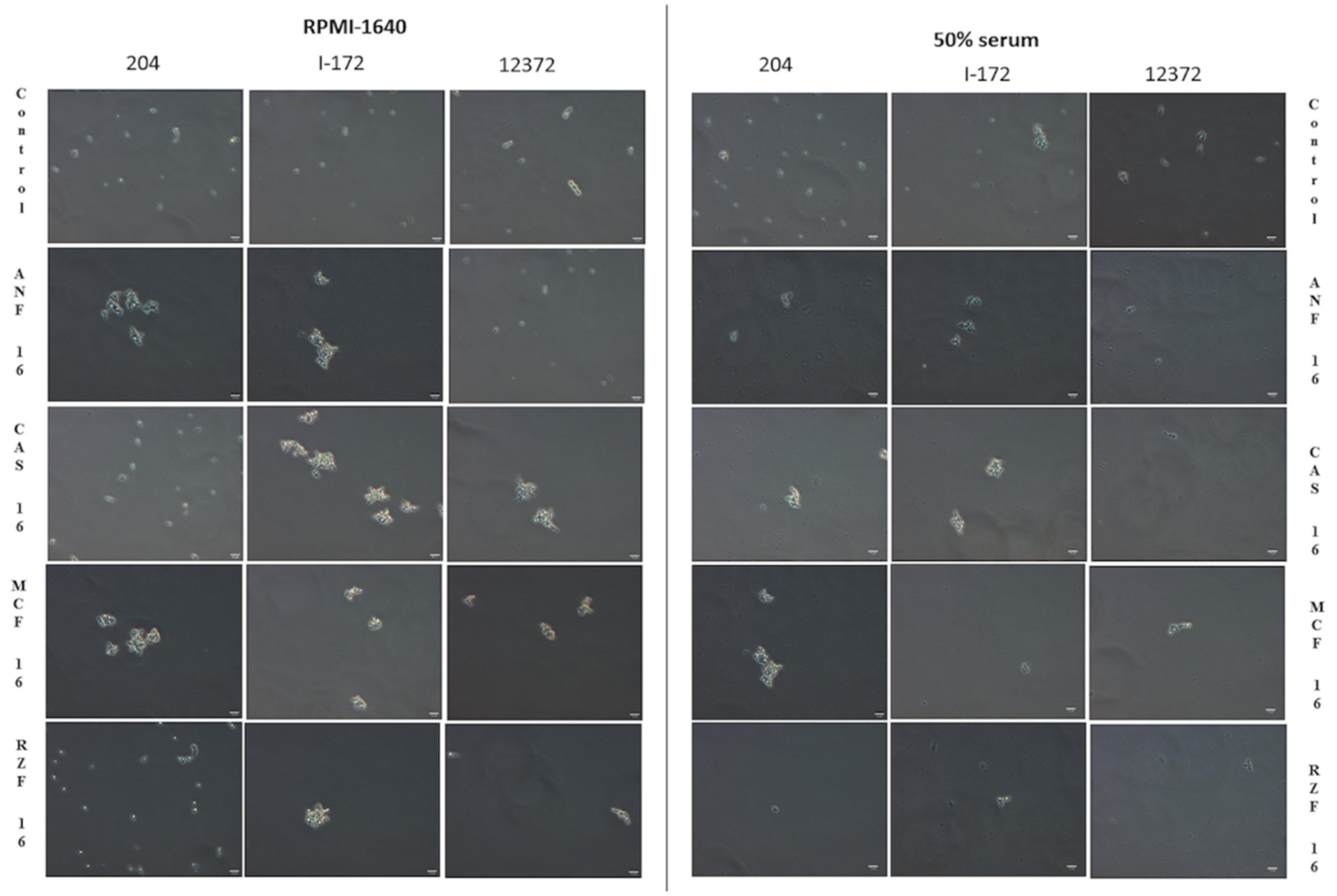 Microorganisms 09 00863 g003