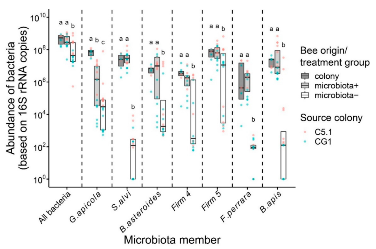 Microorganisms 09 00871 g001