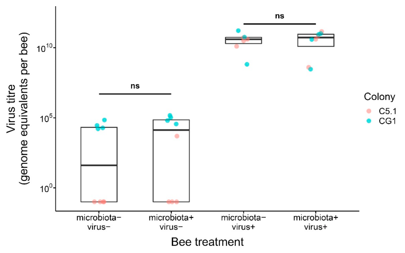 Microorganisms 09 00871 g003