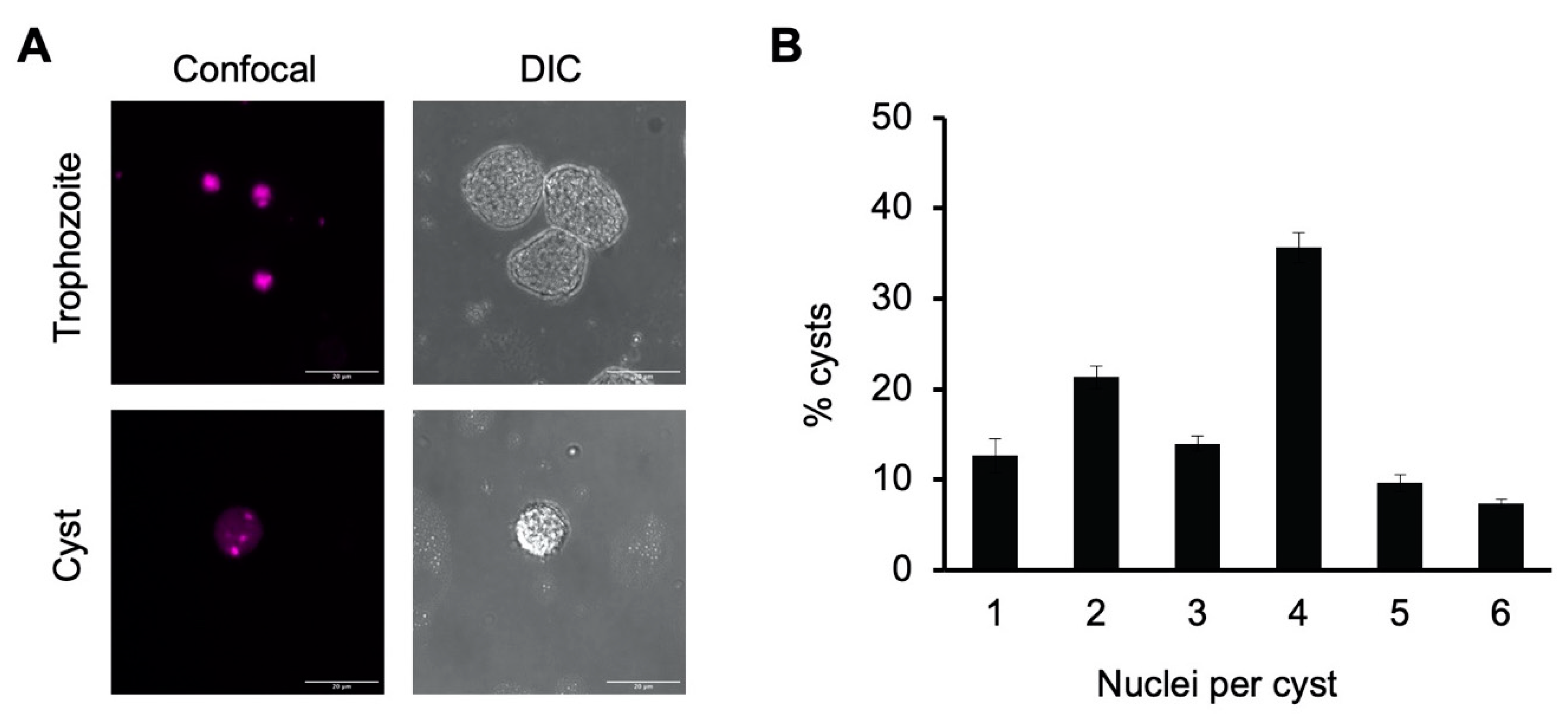 Microorganisms 09 00873 g001