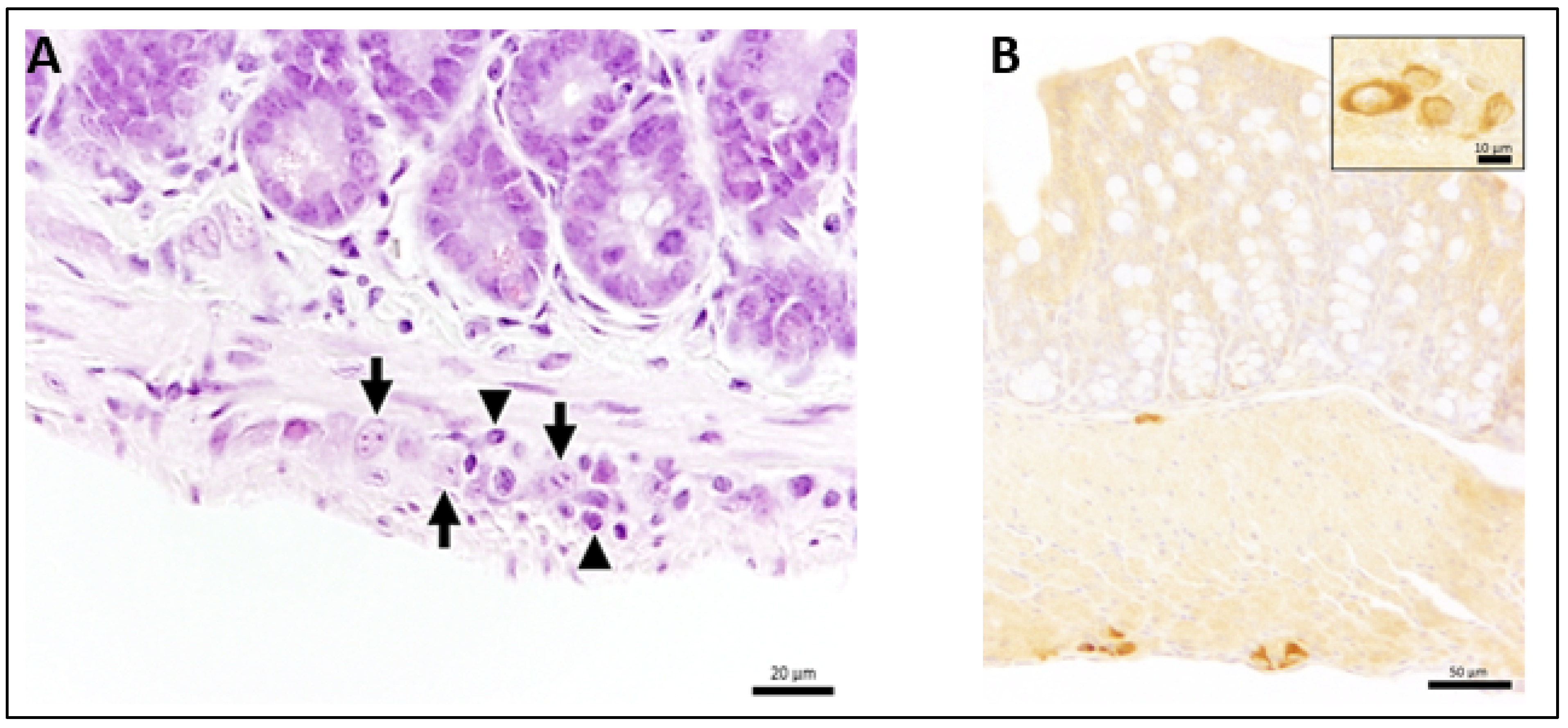 Microorganisms 09 00875 g002