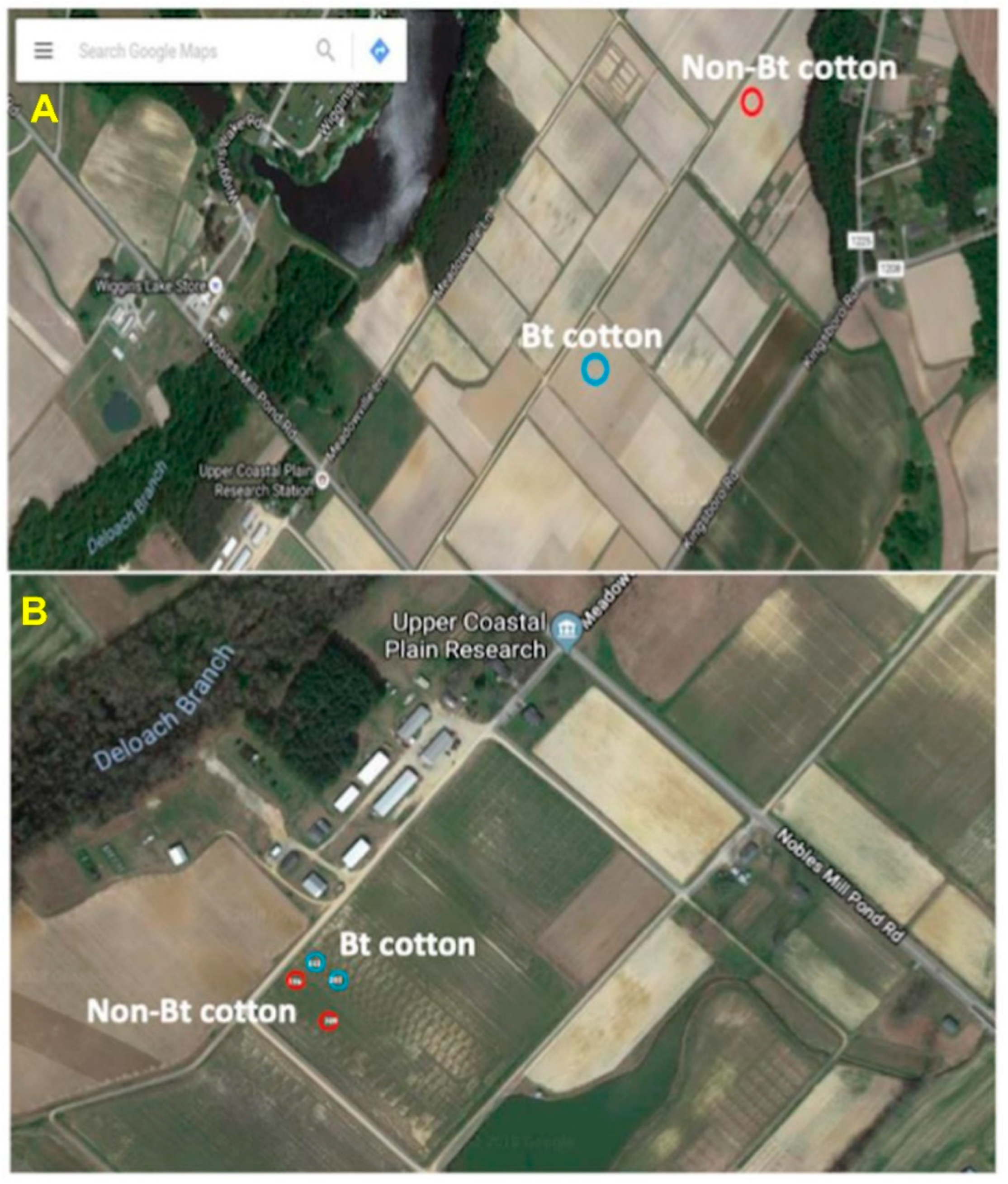 Microorganisms 09 00878 g001 Microorganisms 09 00878 g001