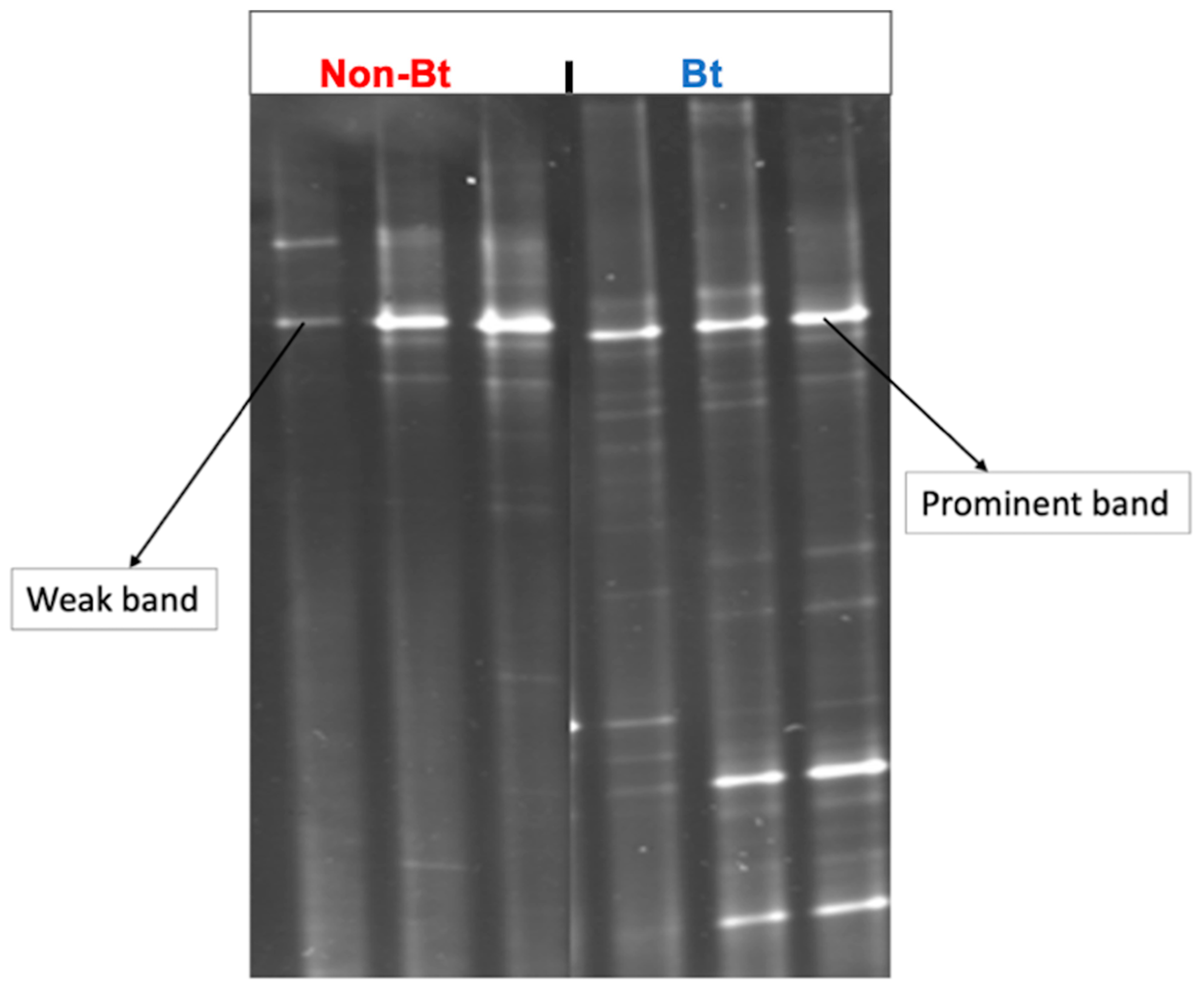 Microorganisms 09 00878 g003 Microorganisms 09 00878 g003