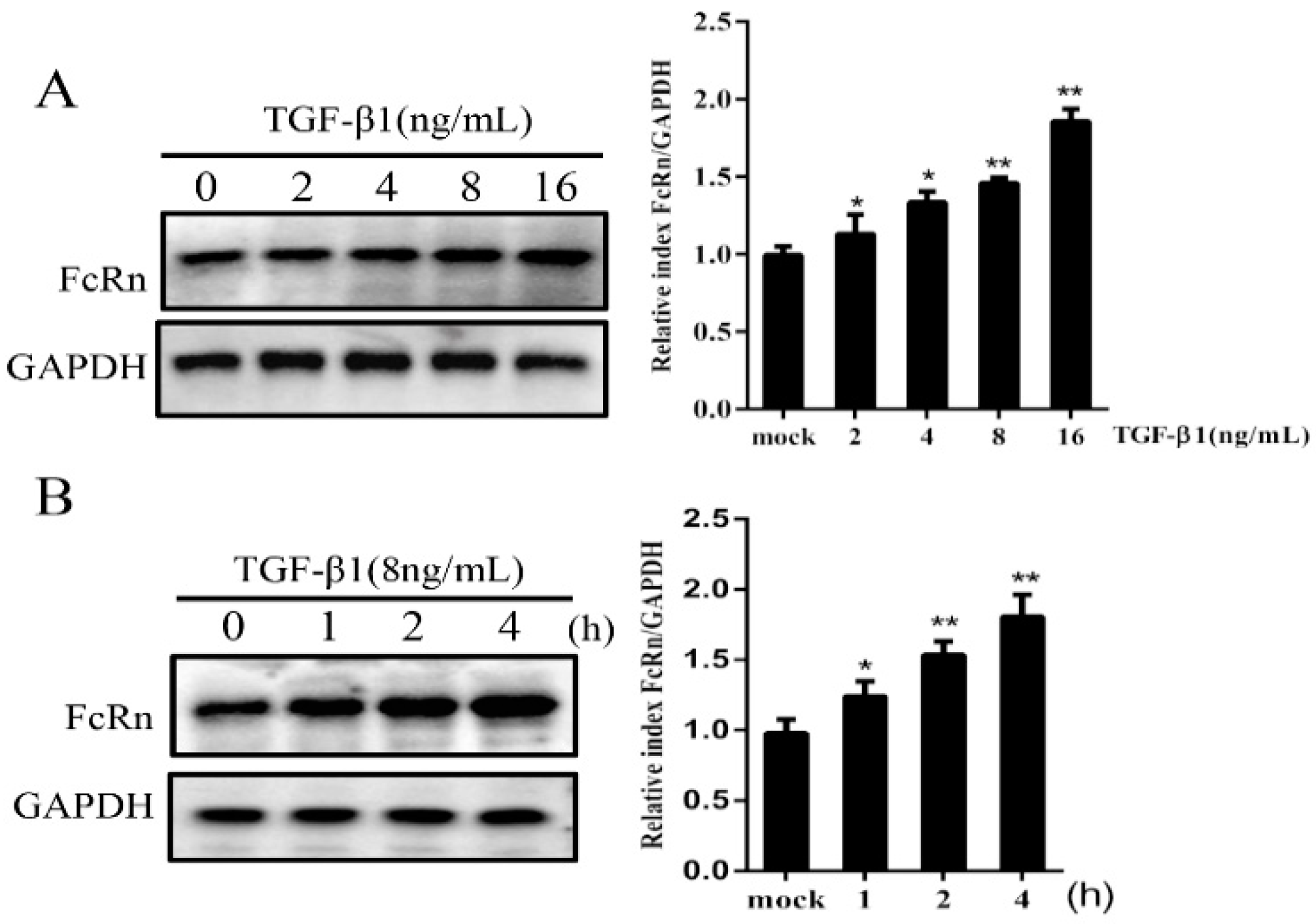 Microorganisms 09 00879 g001
