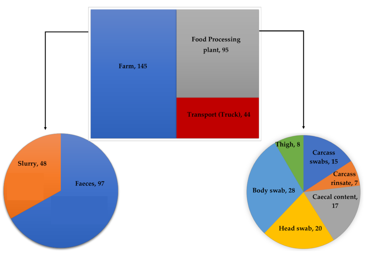 Microorganisms 09 00882 g001