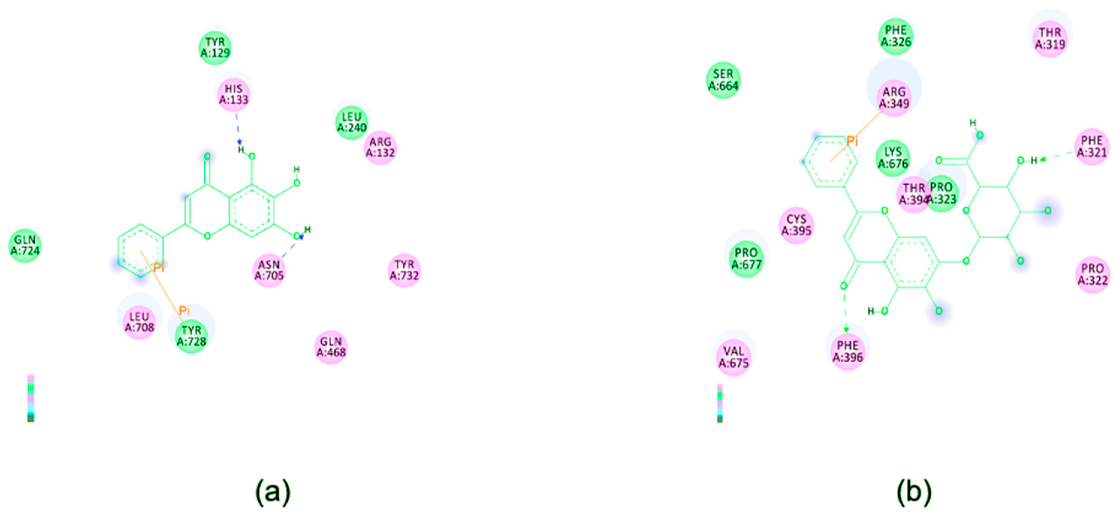 Microorganisms 09 00893 g005