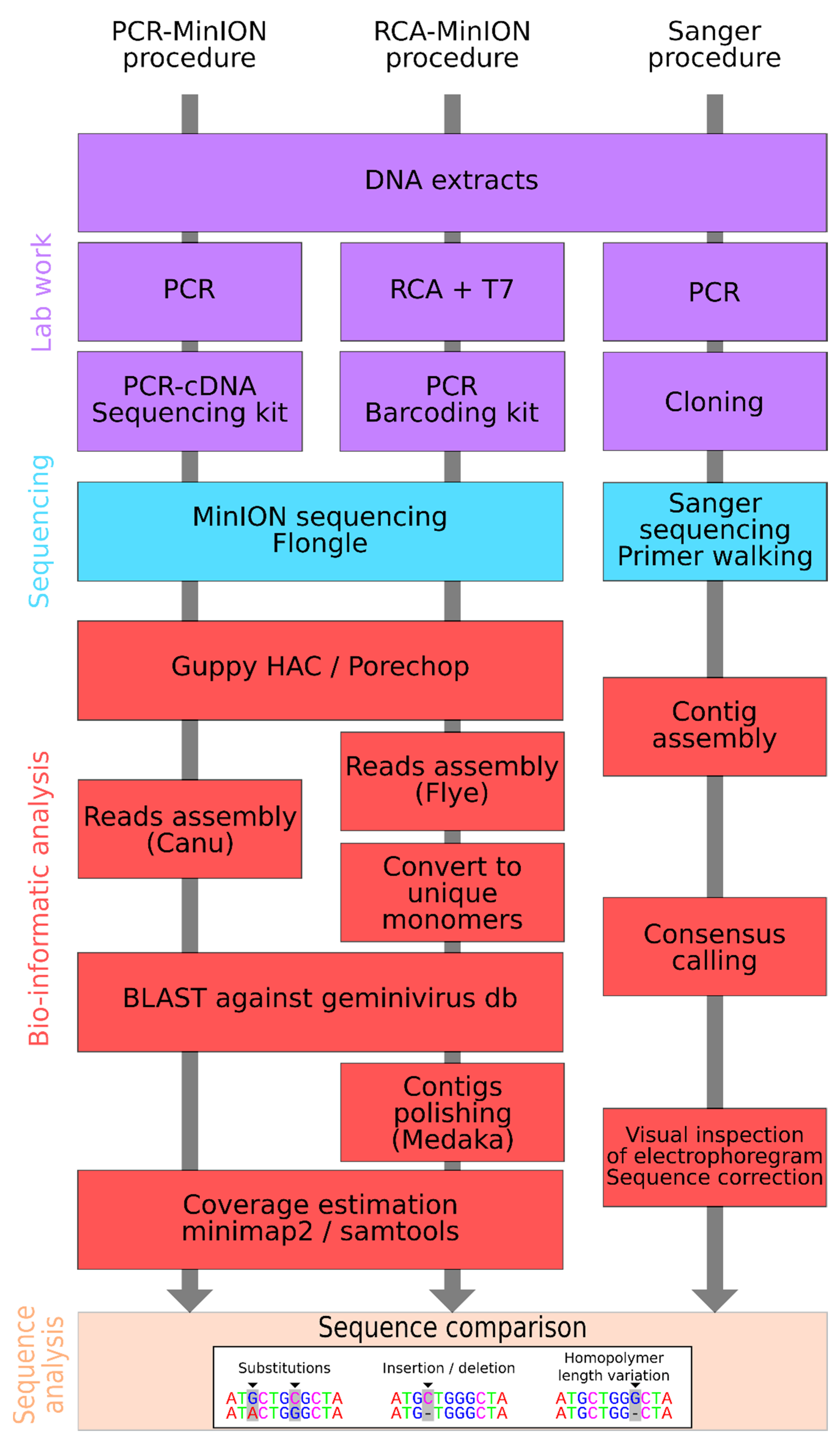 Microorganisms 09 00903 g001 Microorganisms 09 00903 g001