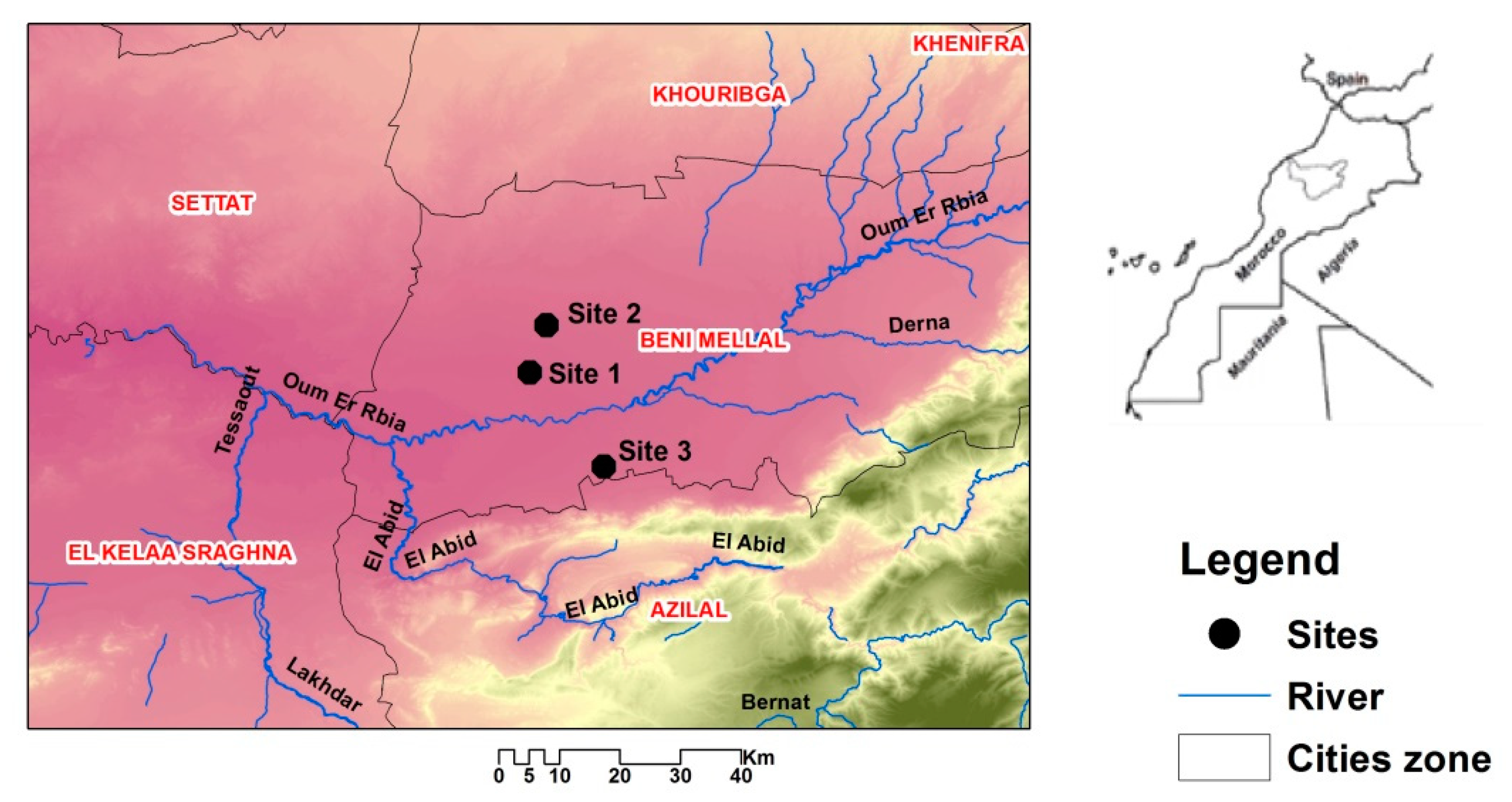 Microorganisms 09 00914 g001 Microorganisms 09 00914 g001