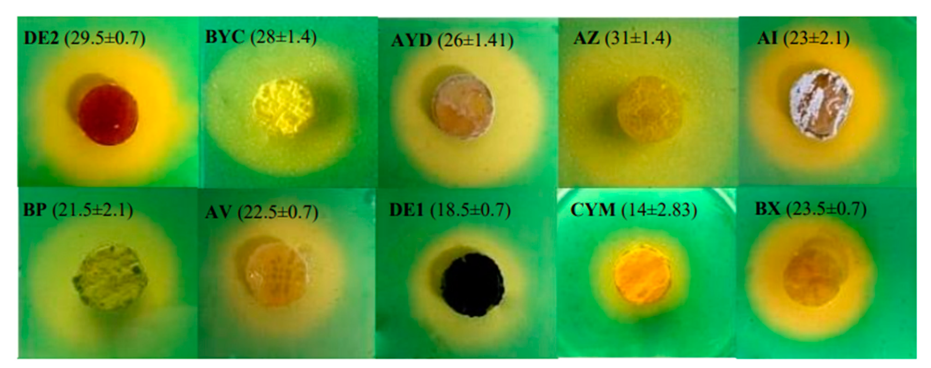 Microorganisms 09 00914 g004 Microorganisms 09 00914 g004