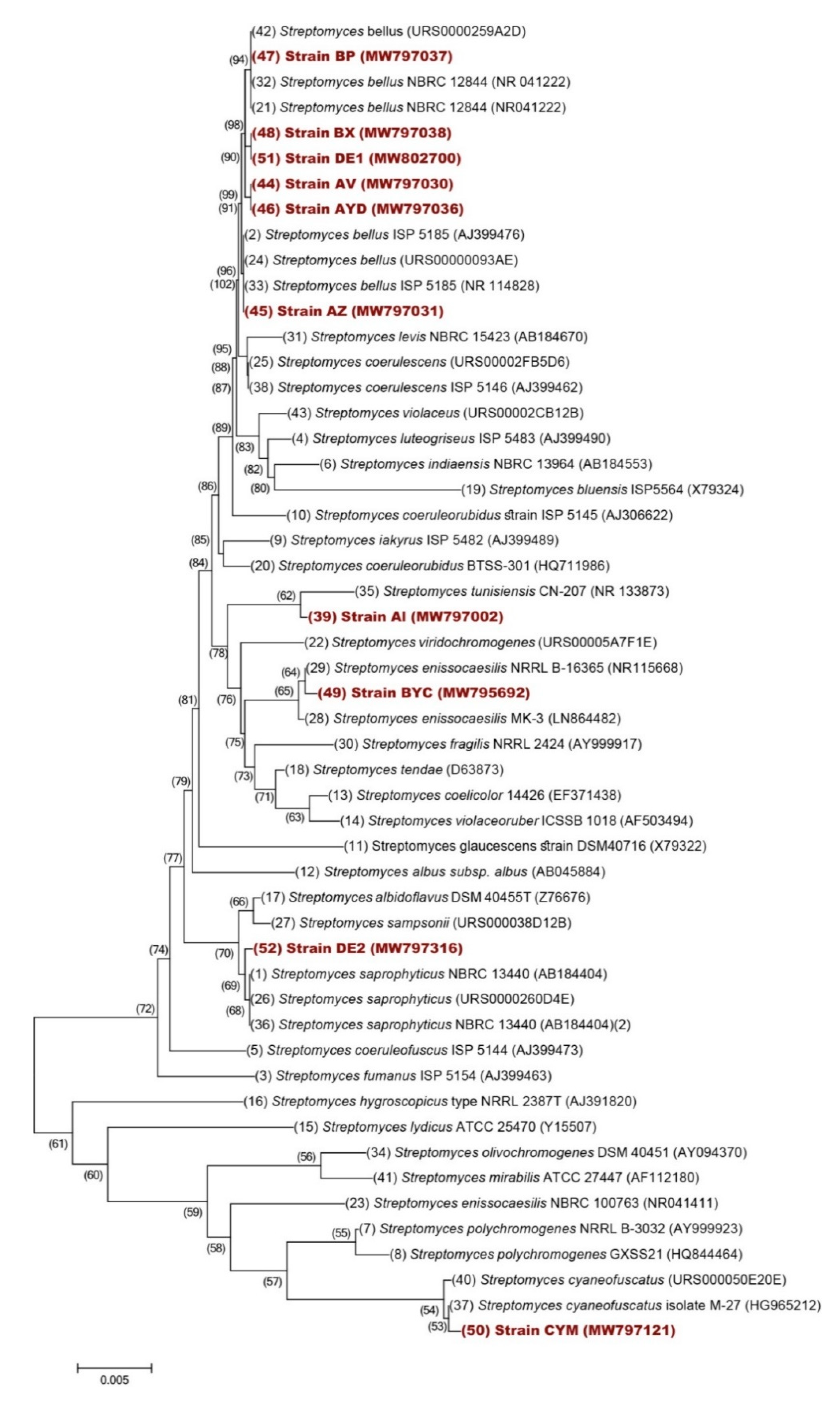 Microorganisms 09 00914 g005 Microorganisms 09 00914 g005