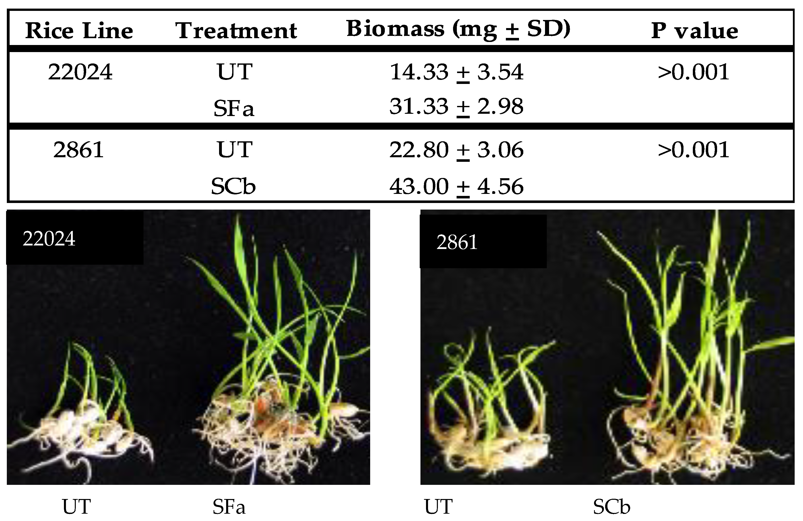 Microorganisms 09 00920 g001