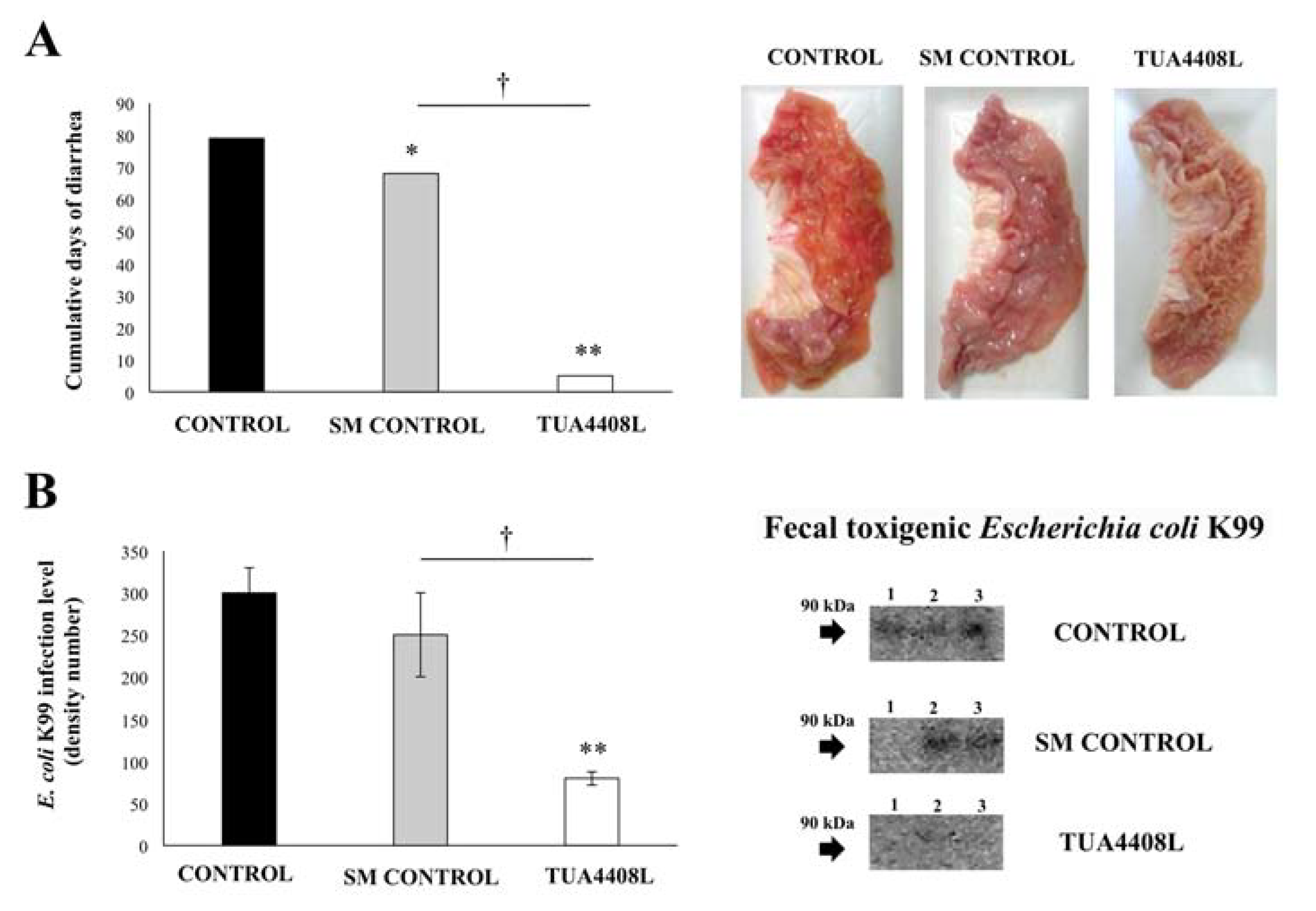 Microorganisms 09 00921 g003