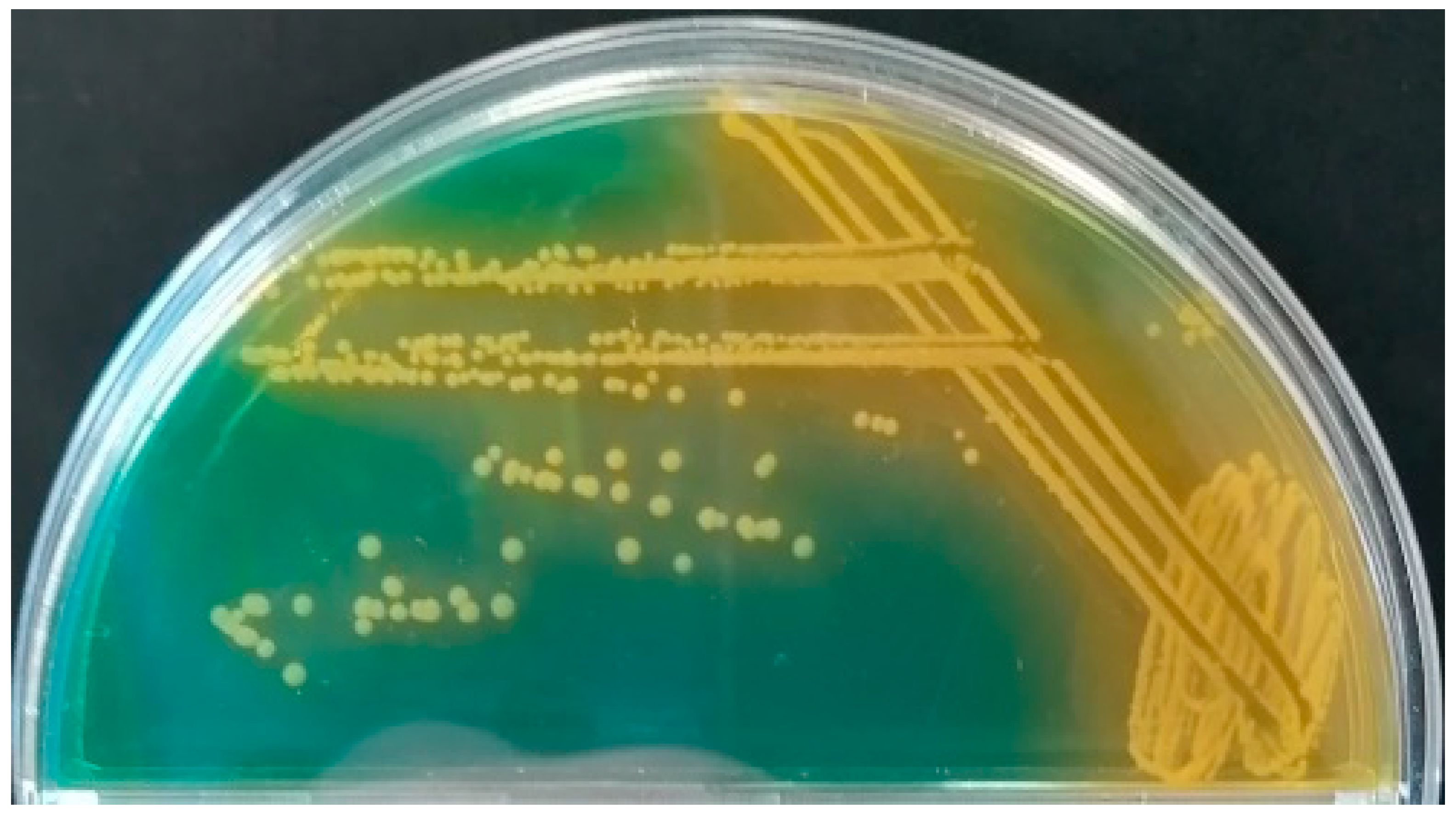 Microorganisms 09 00922 g002