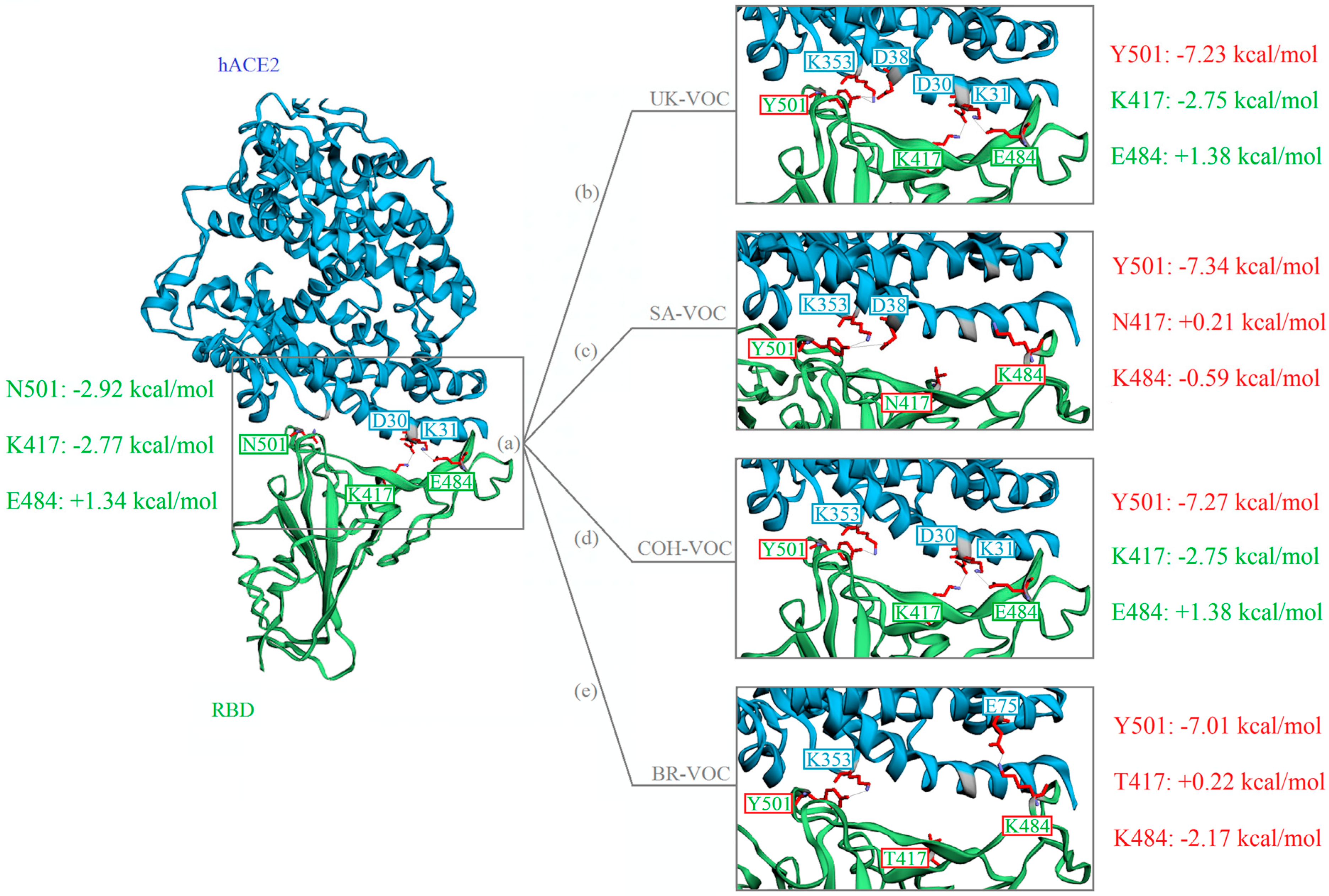 Microorganisms 09 00926 g003