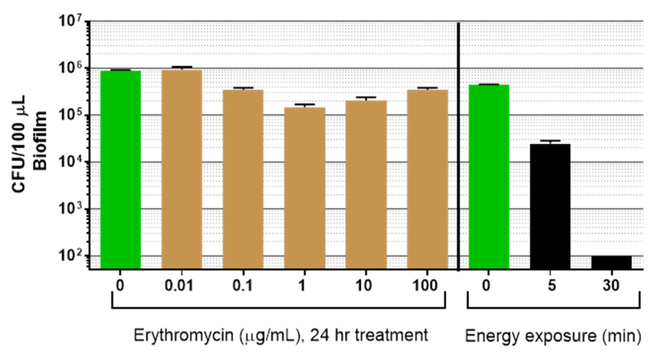 Microorganisms 09 00929 g009