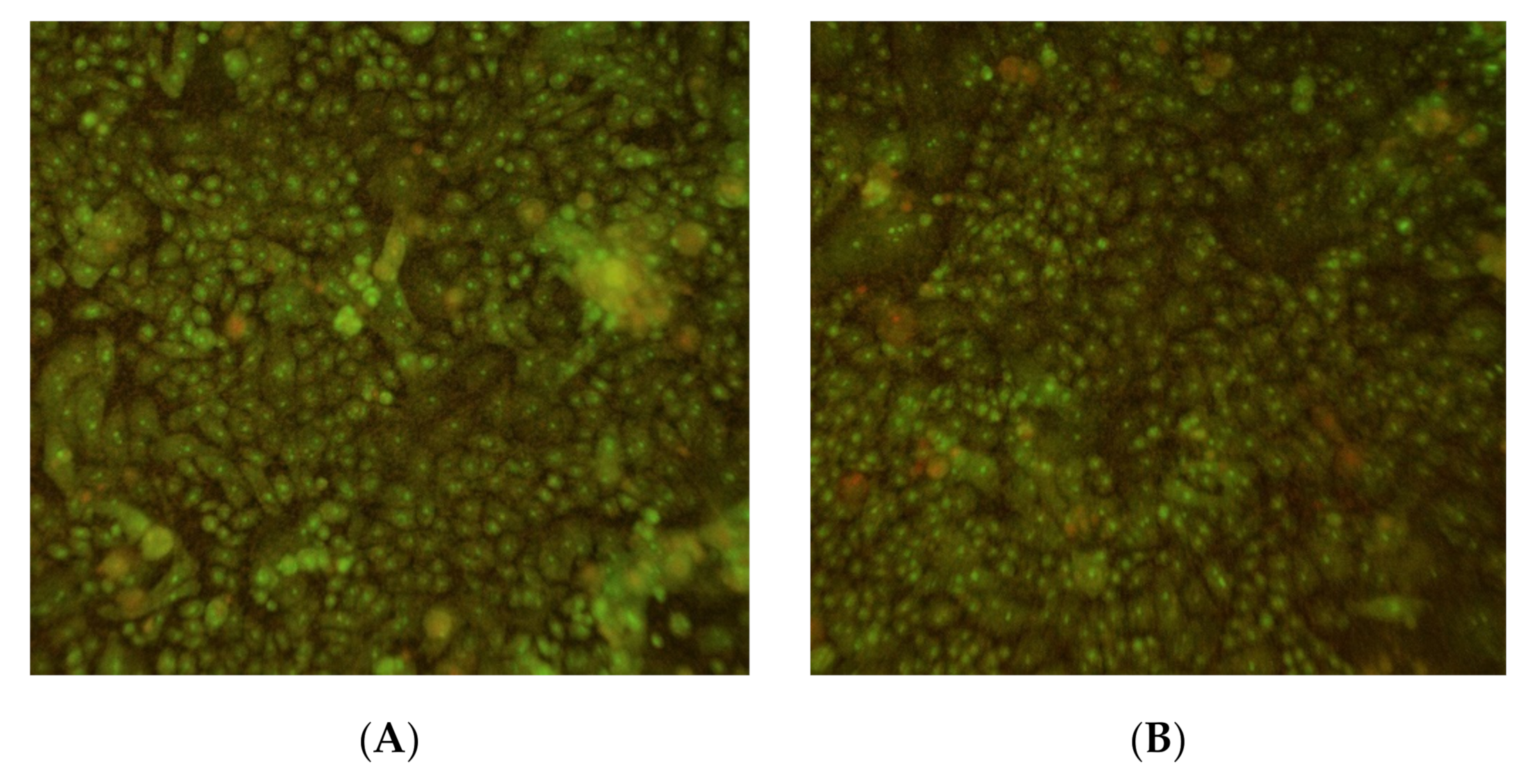 Microorganisms 09 00929 g010