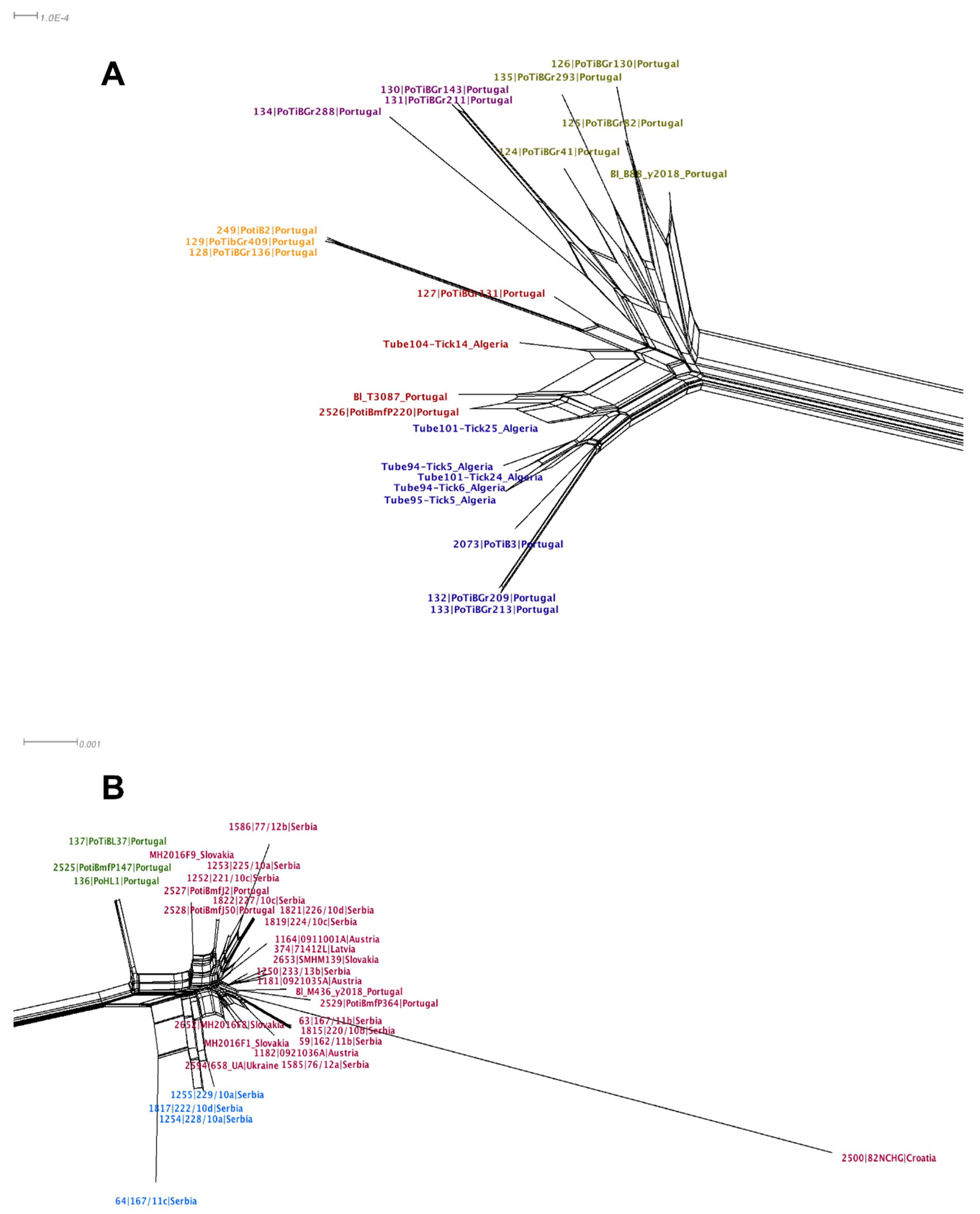 Microorganisms 09 00933 g004 Microorganisms 09 00933 g004