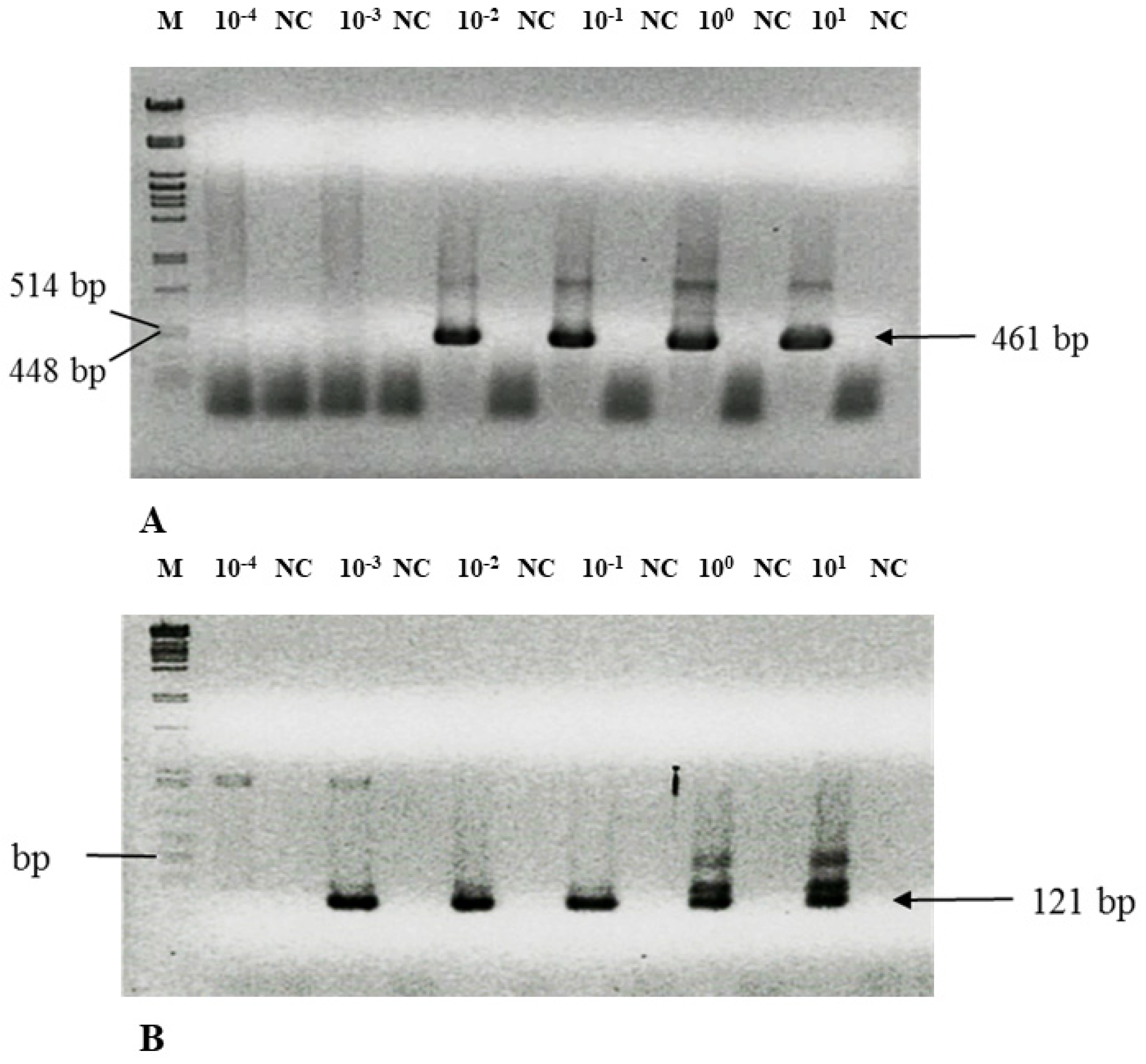 Microorganisms 09 00935 g001 Microorganisms 09 00935 g001
