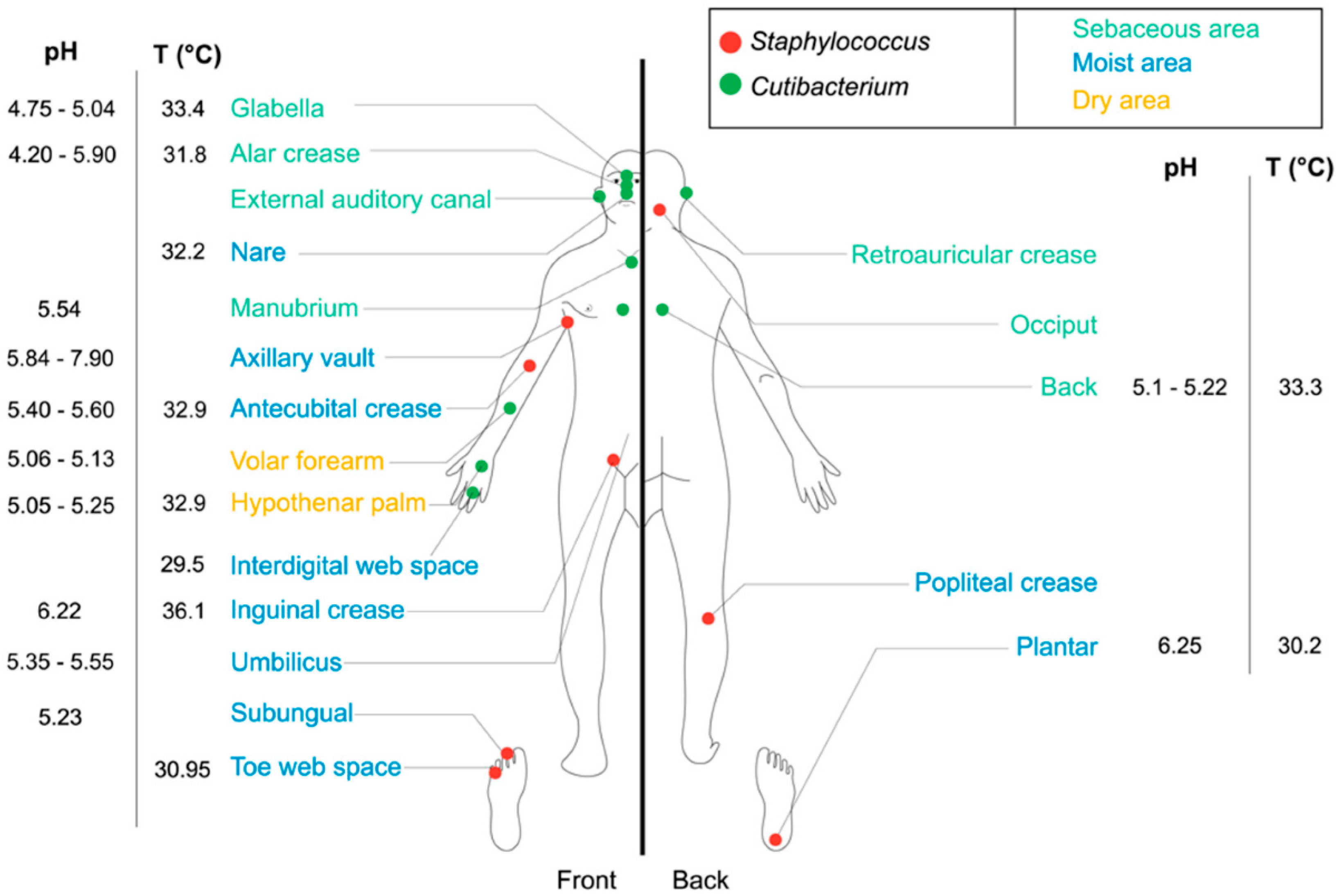 Microorganisms 09 00936 g001