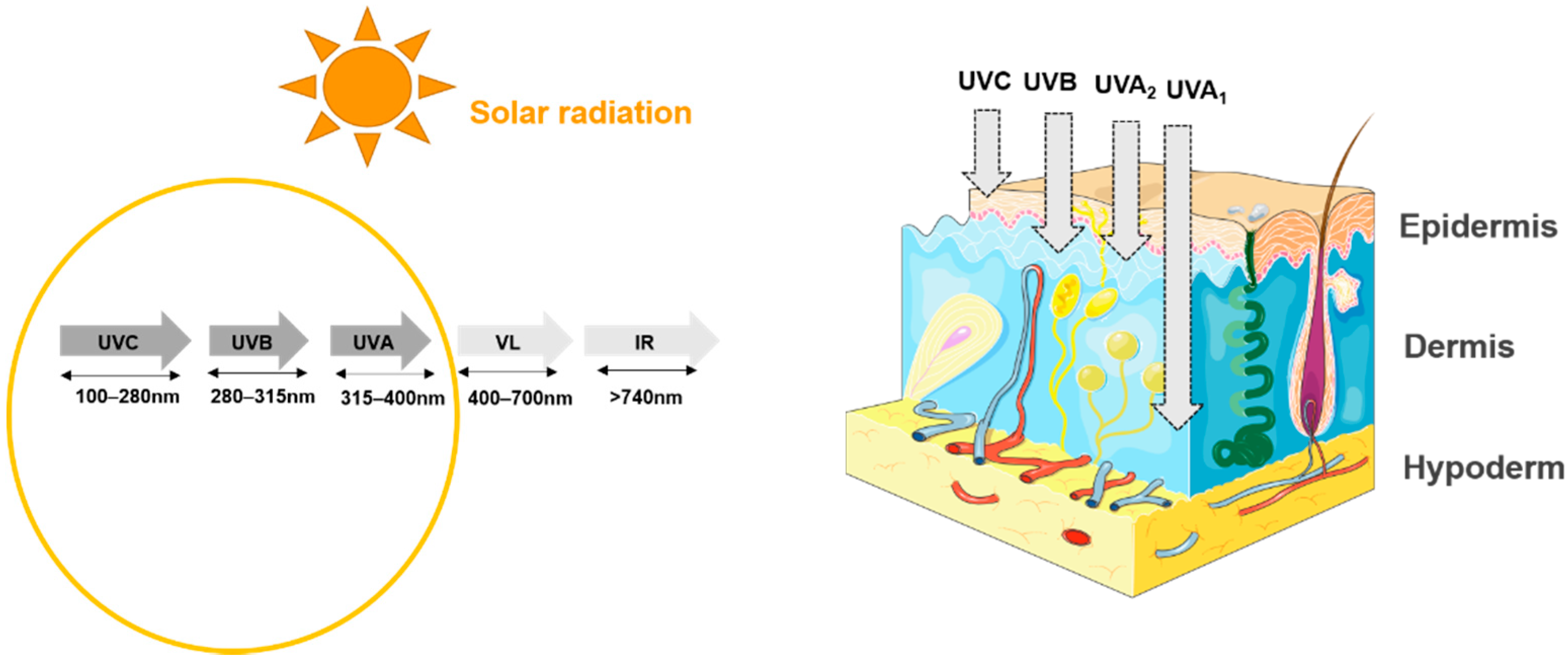Microorganisms 09 00936 g002