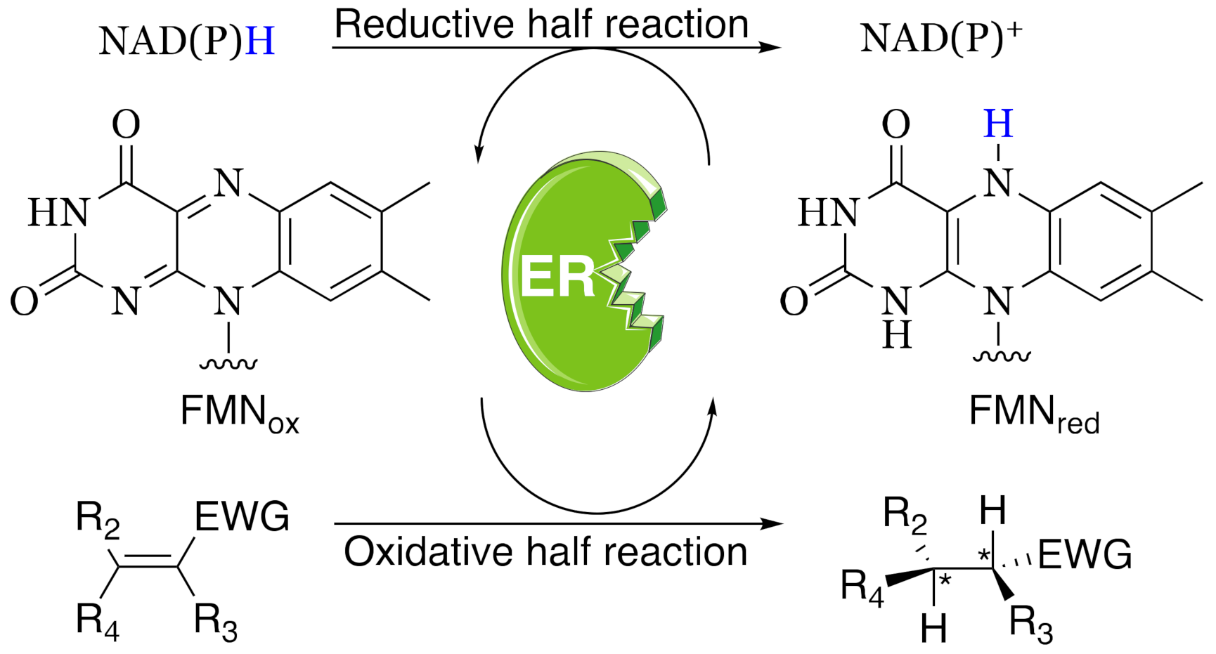 Microorganisms 09 00953 sch001