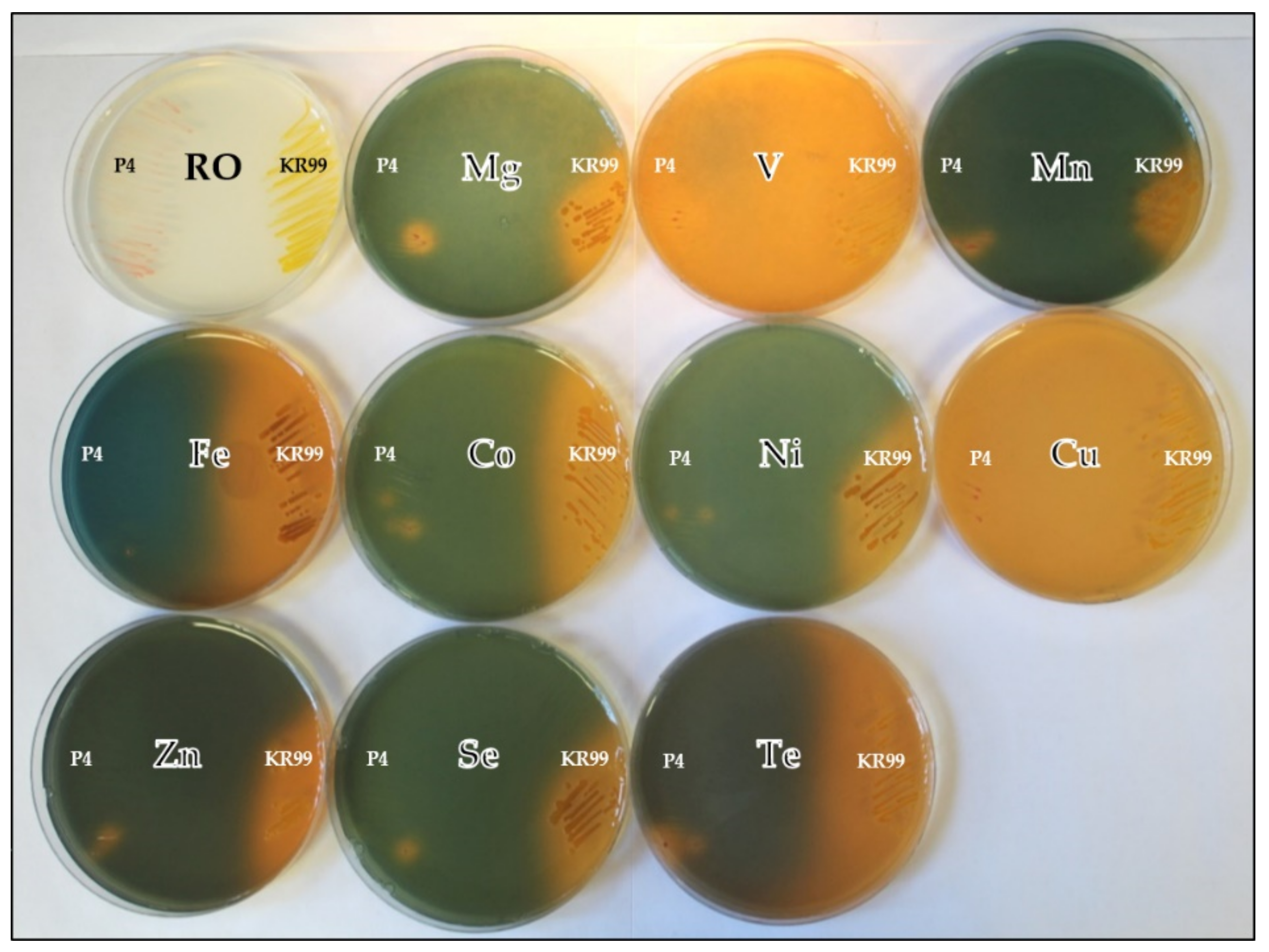 Microorganisms 09 00959 g0a2 Microorganisms 09 00959 g0a2