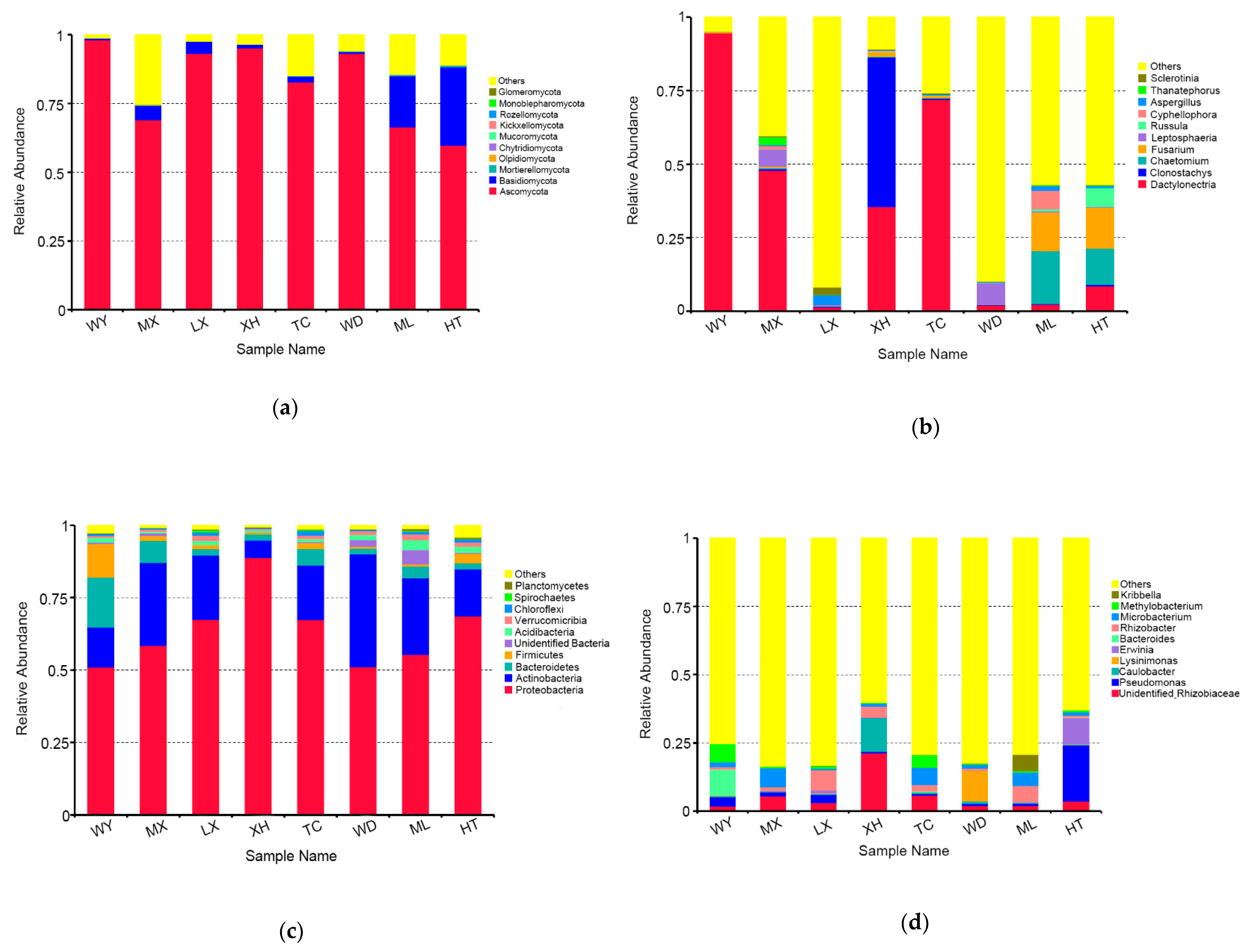 Microorganisms 09 00978 g003