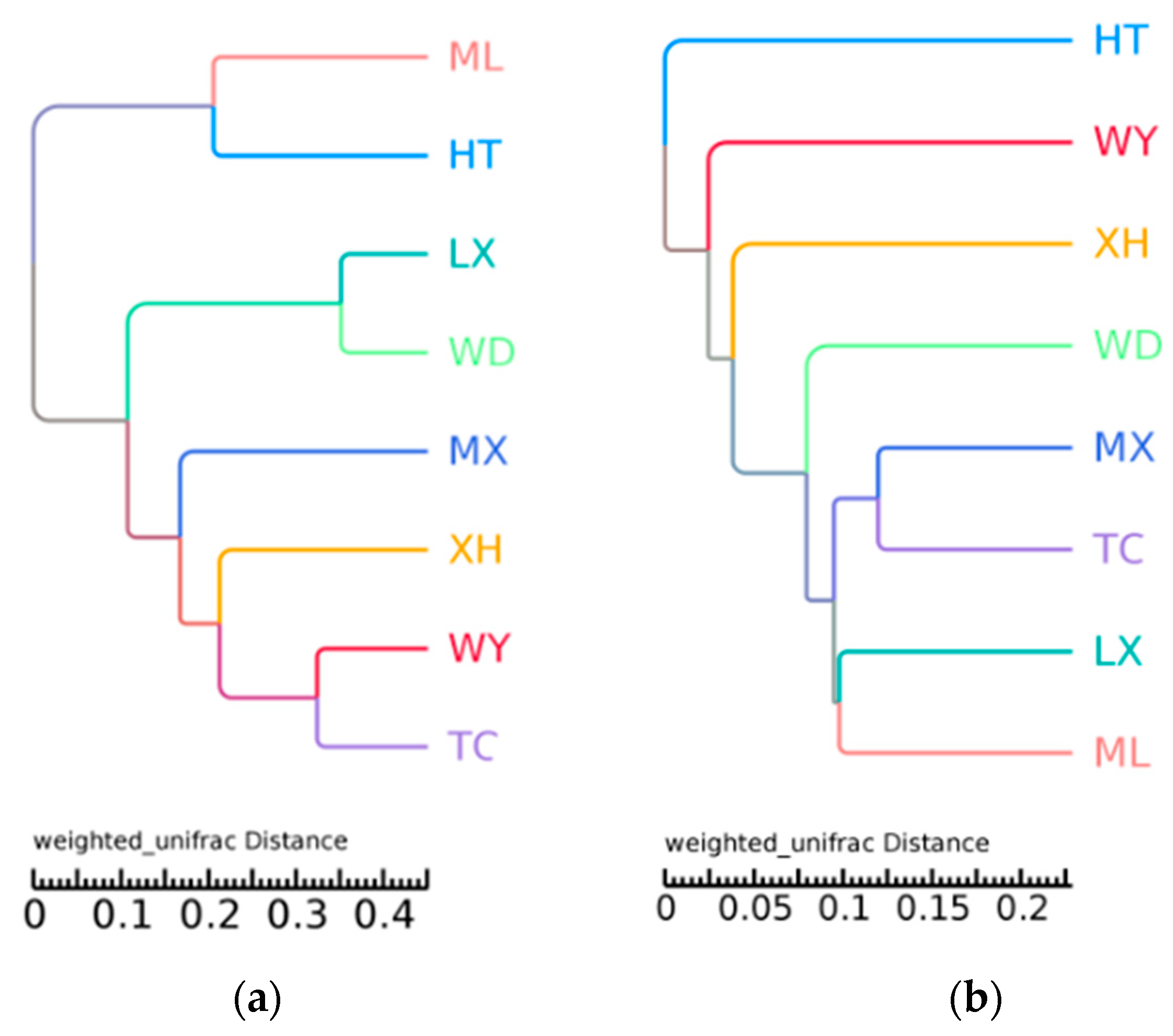 Microorganisms 09 00978 g004