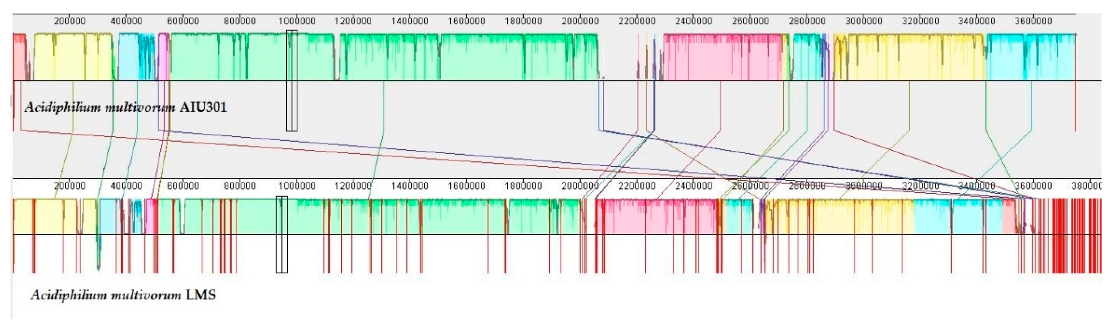 Microorganisms 09 00984 g004