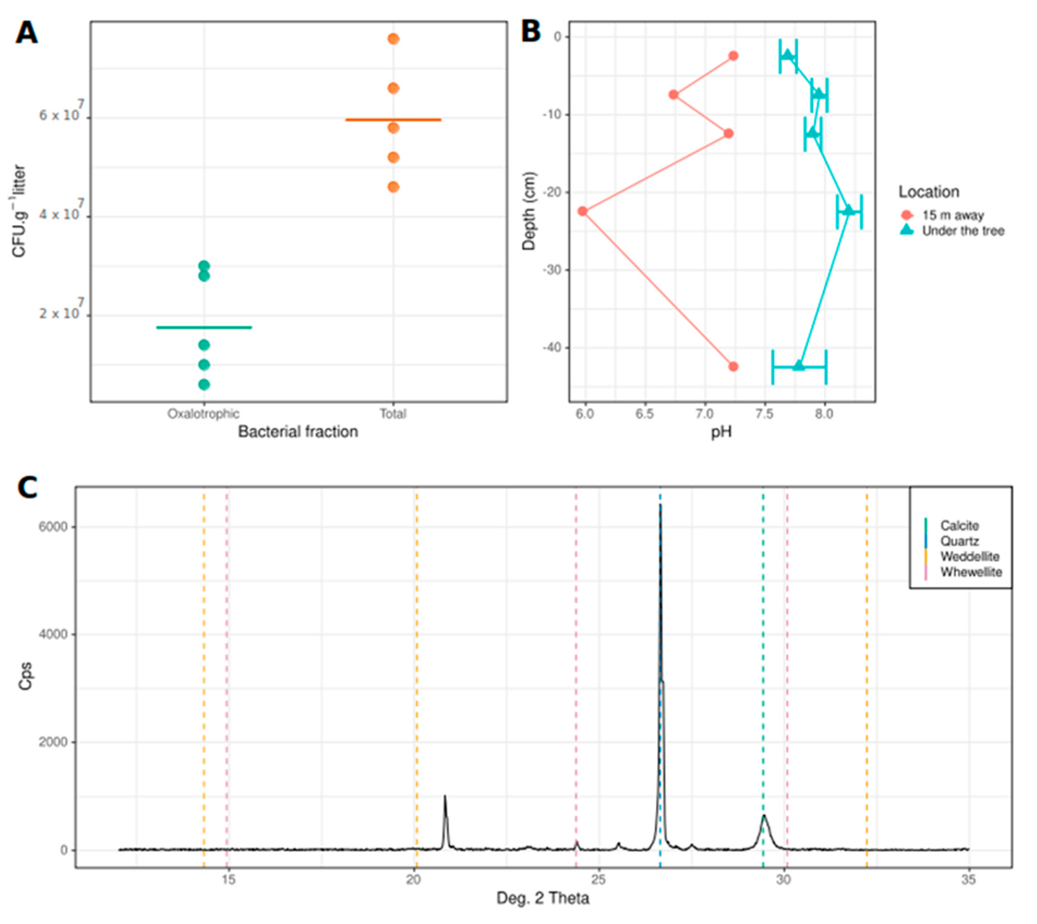 Microorganisms 09 00985 g001