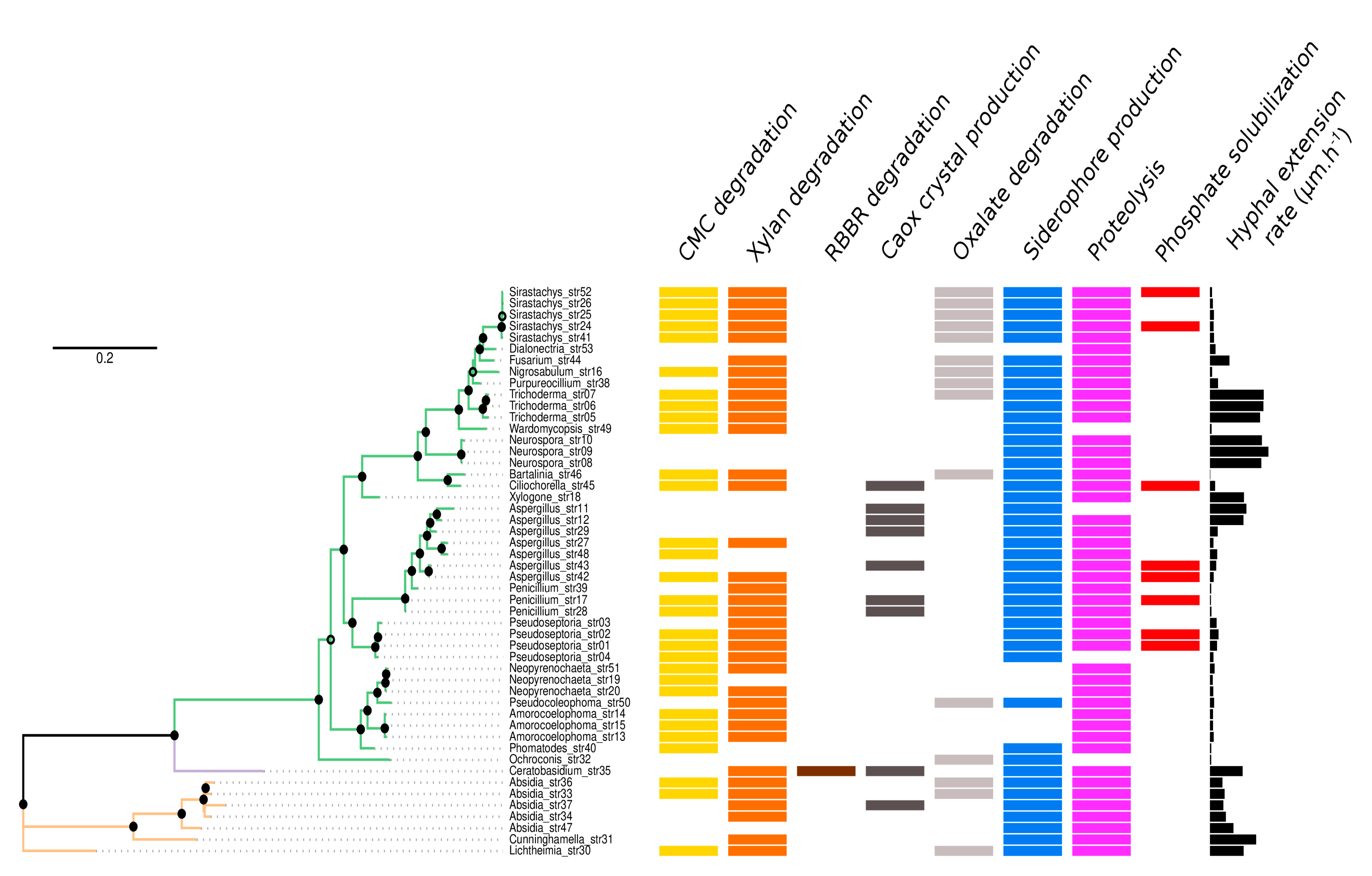 Microorganisms 09 00985 g002