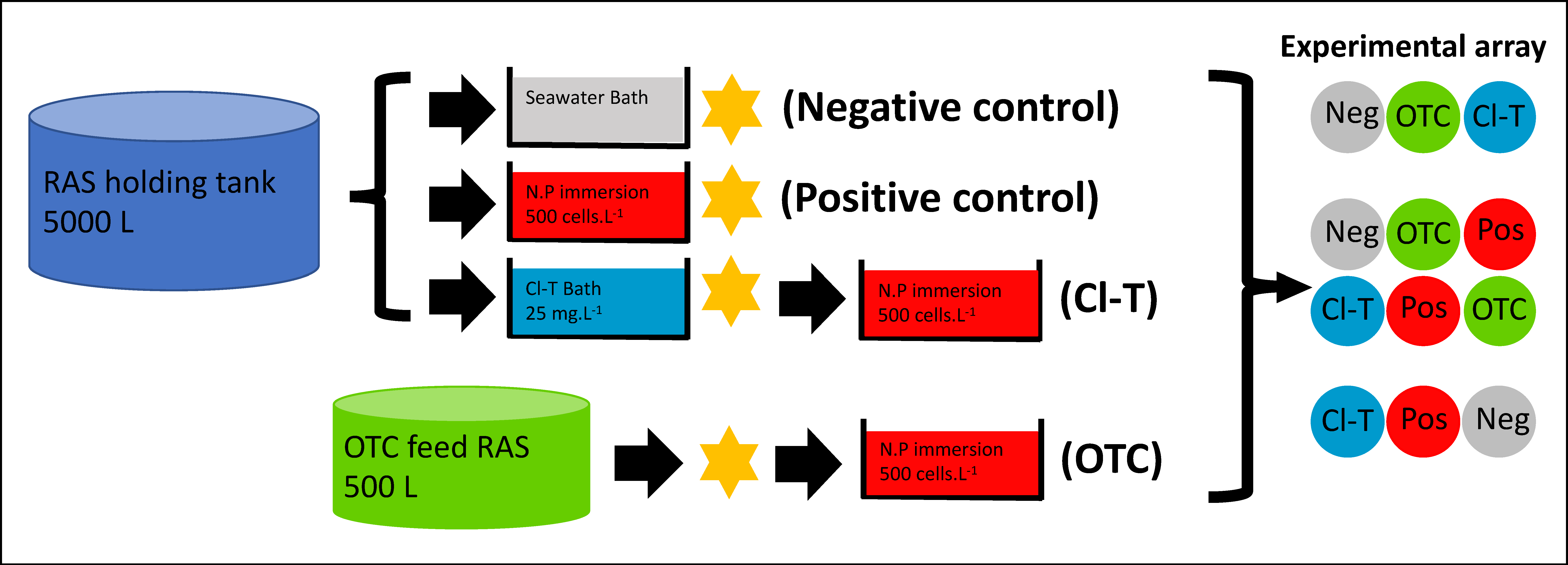 Microorganisms 09 00987 g001 Microorganisms 09 00987 g001