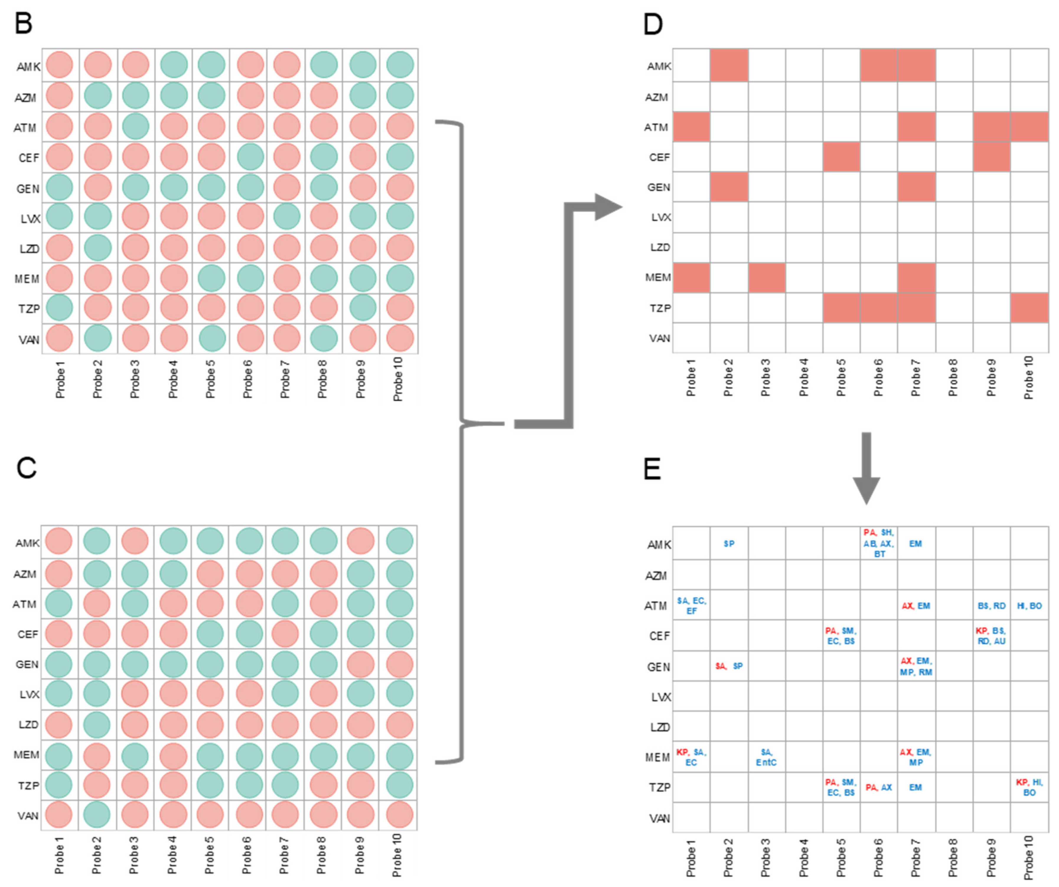 Microorganisms 09 00990 g004b
