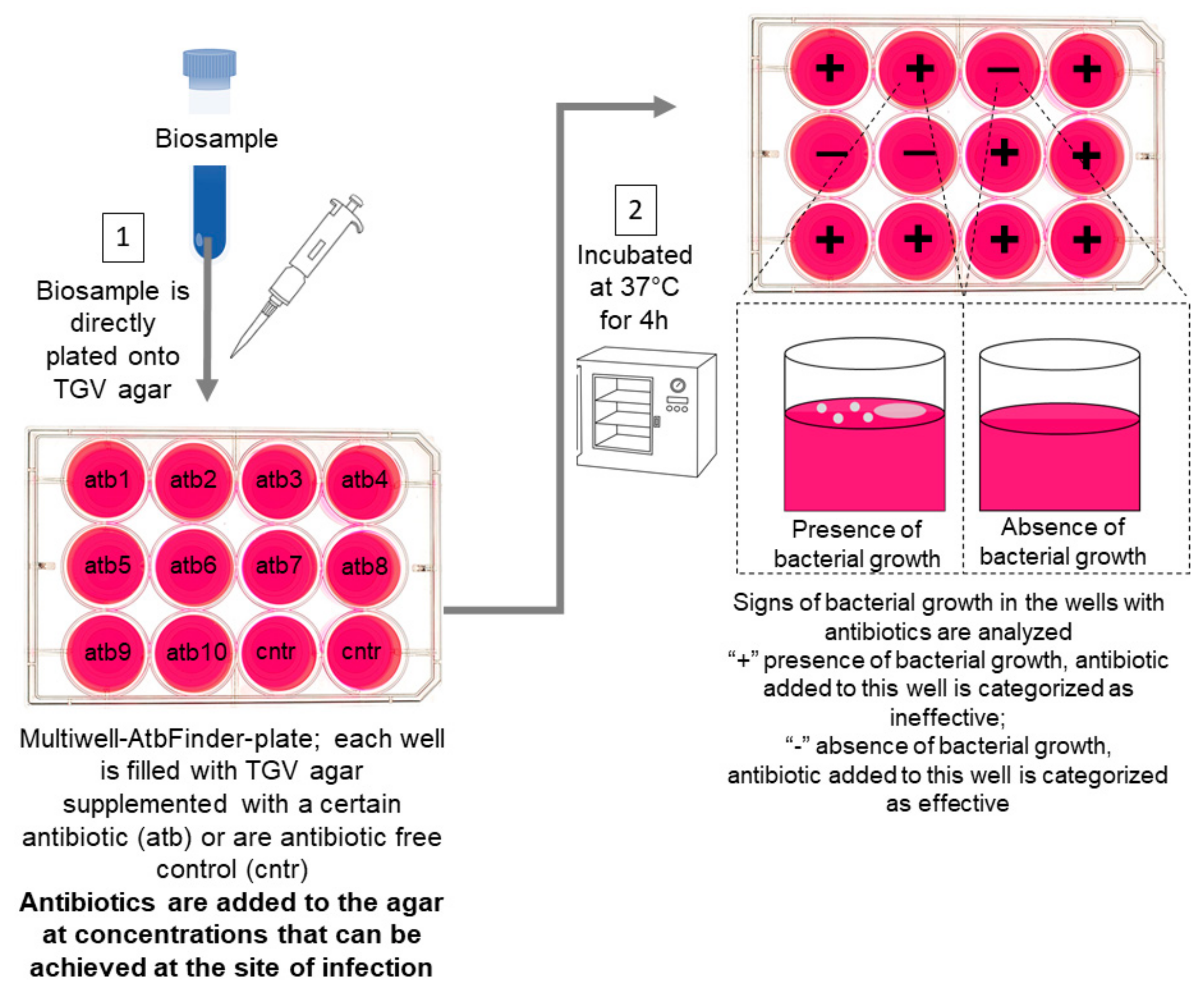 Microorganisms 09 00990 g005