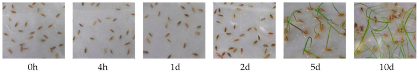 Microorganisms 09 00991 g001 Microorganisms 09 00991 g001