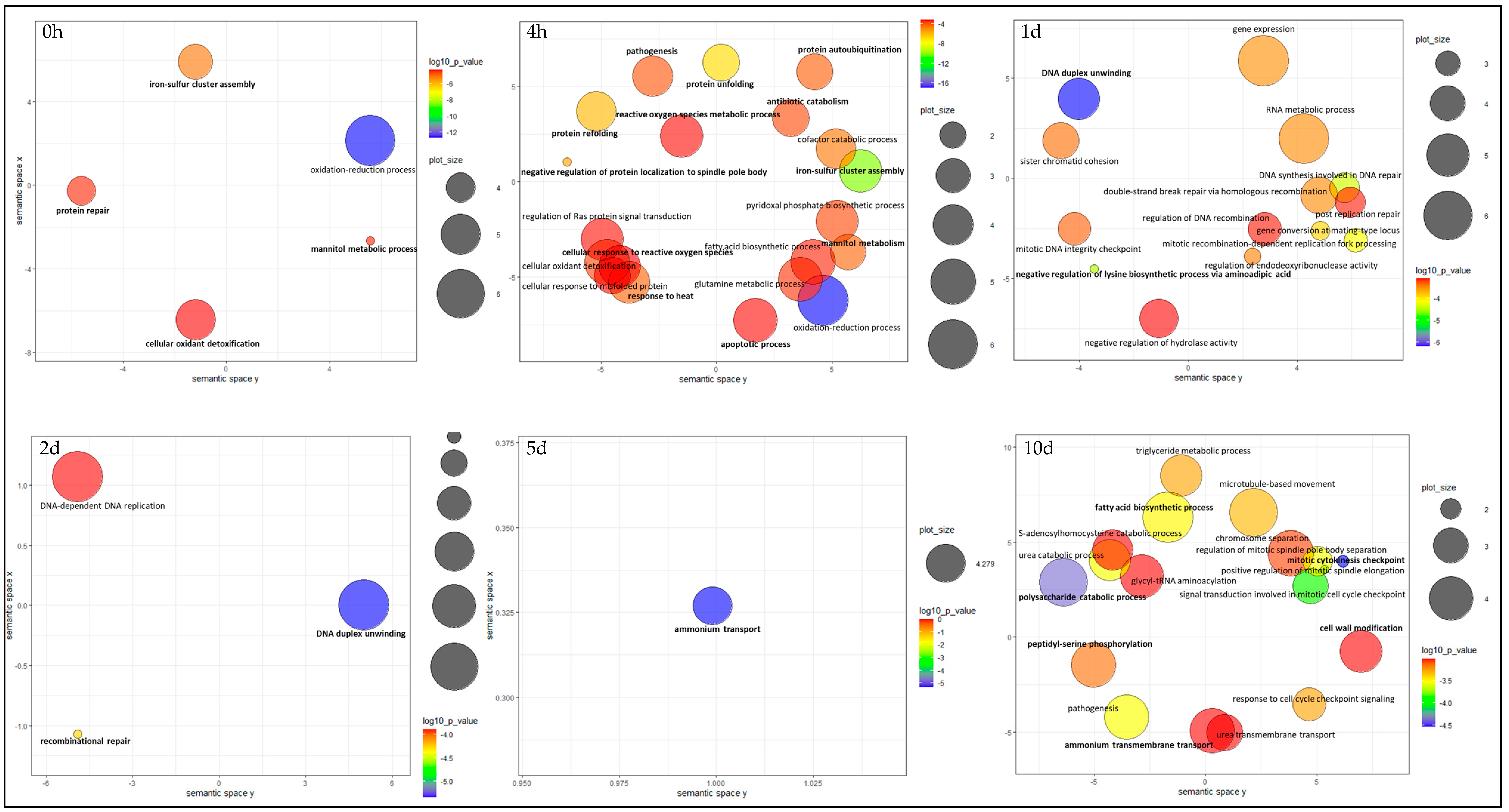 Microorganisms 09 00991 g005 Microorganisms 09 00991 g005