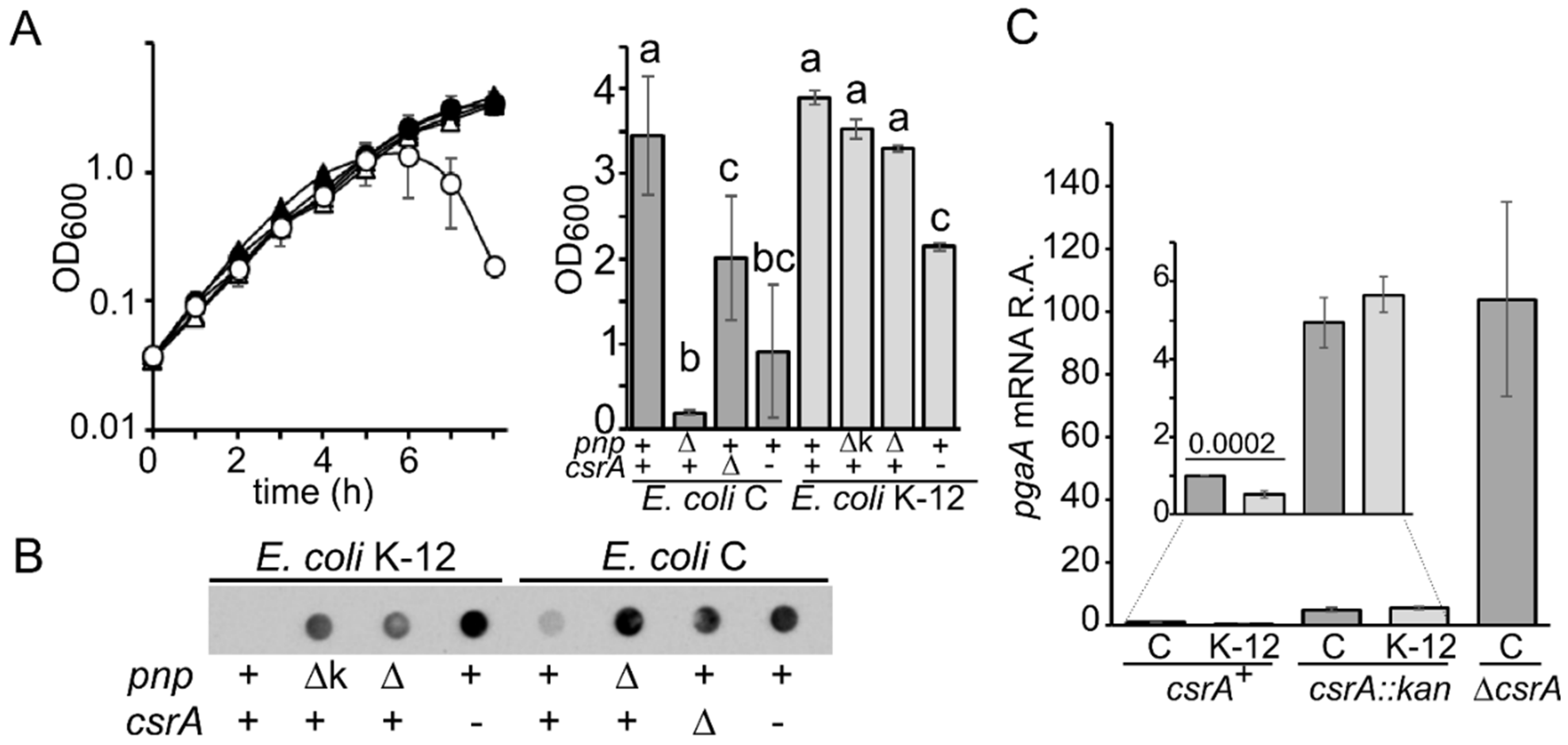 Microorganisms 09 01010 g002