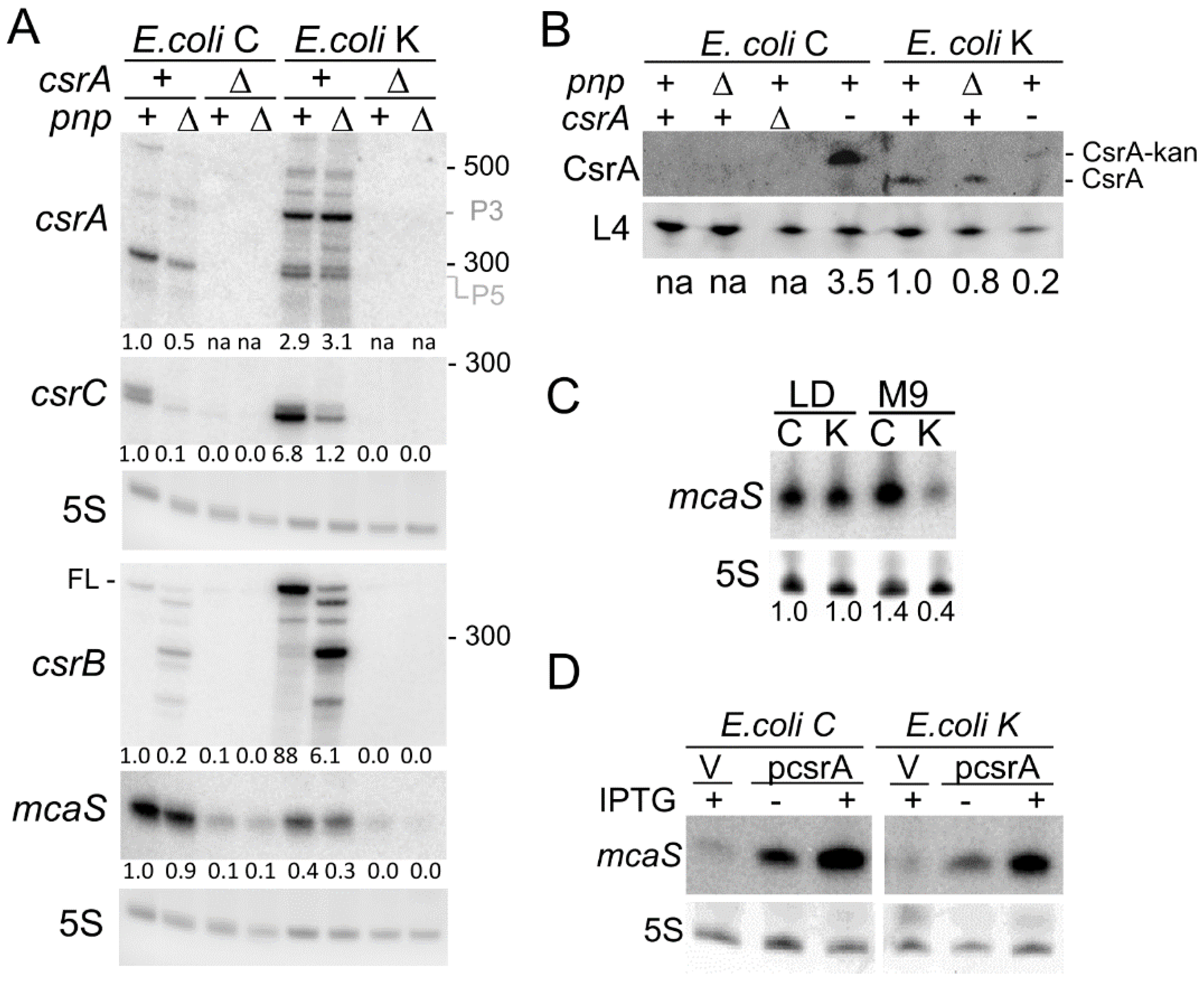 Microorganisms 09 01010 g004