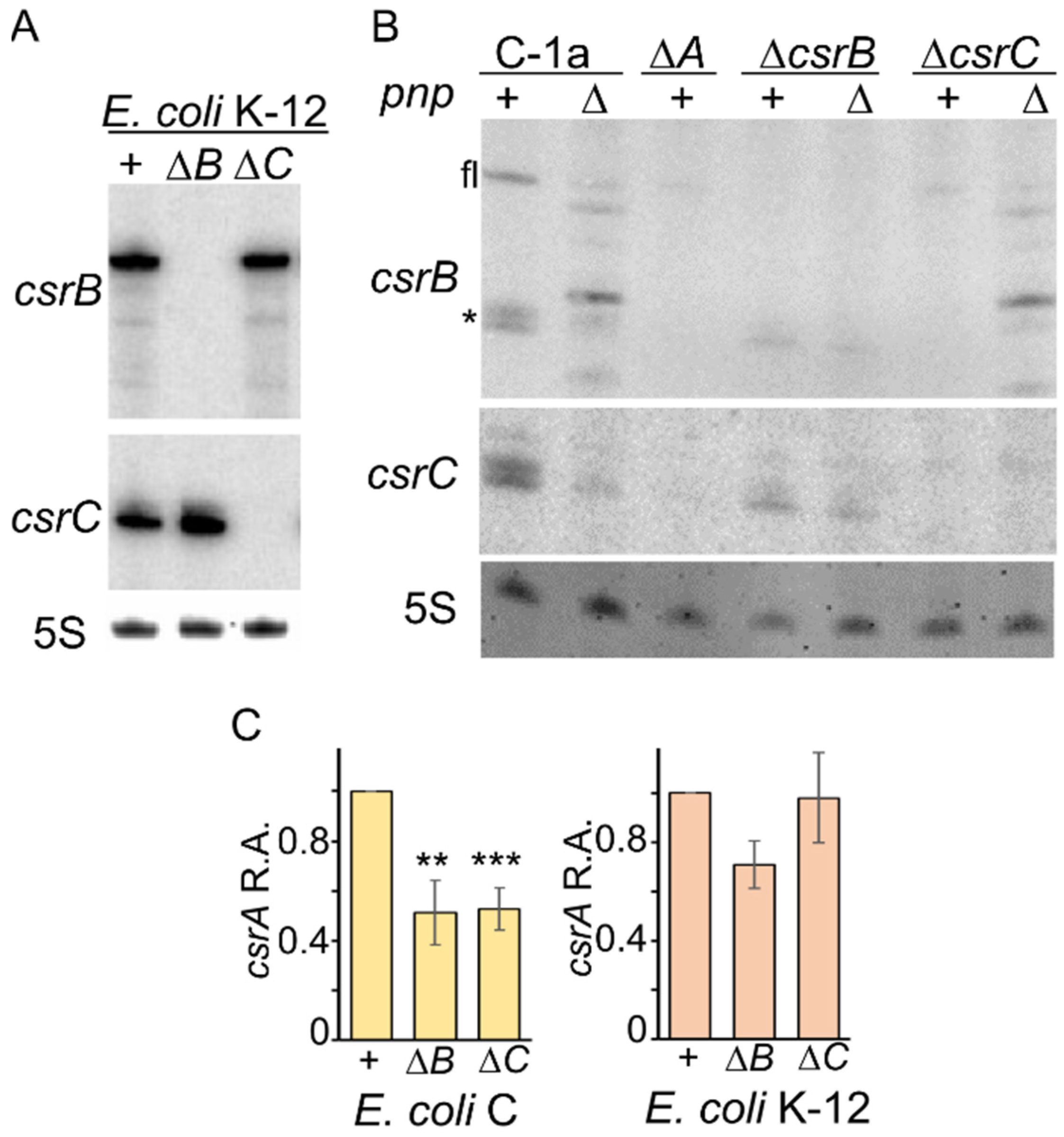 Microorganisms 09 01010 g005