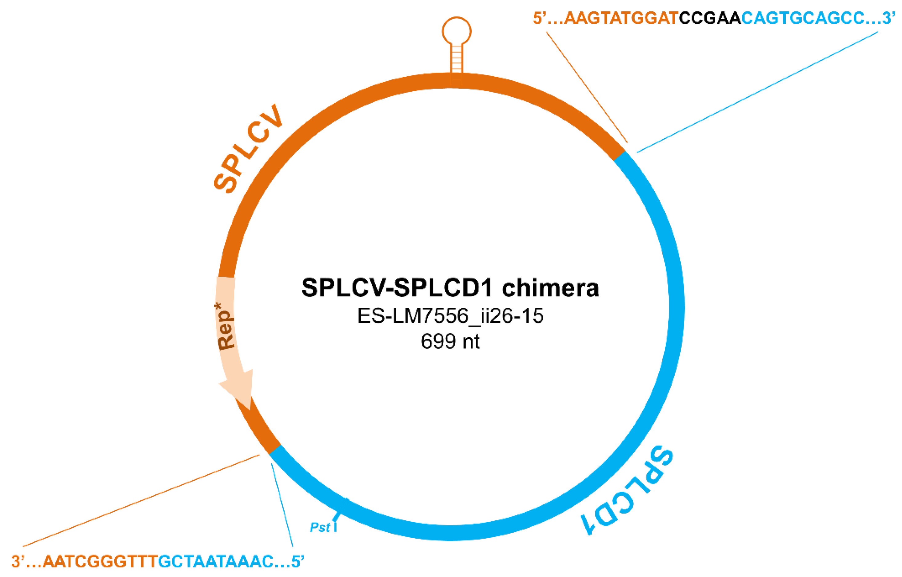 Microorganisms 09 01018 g004