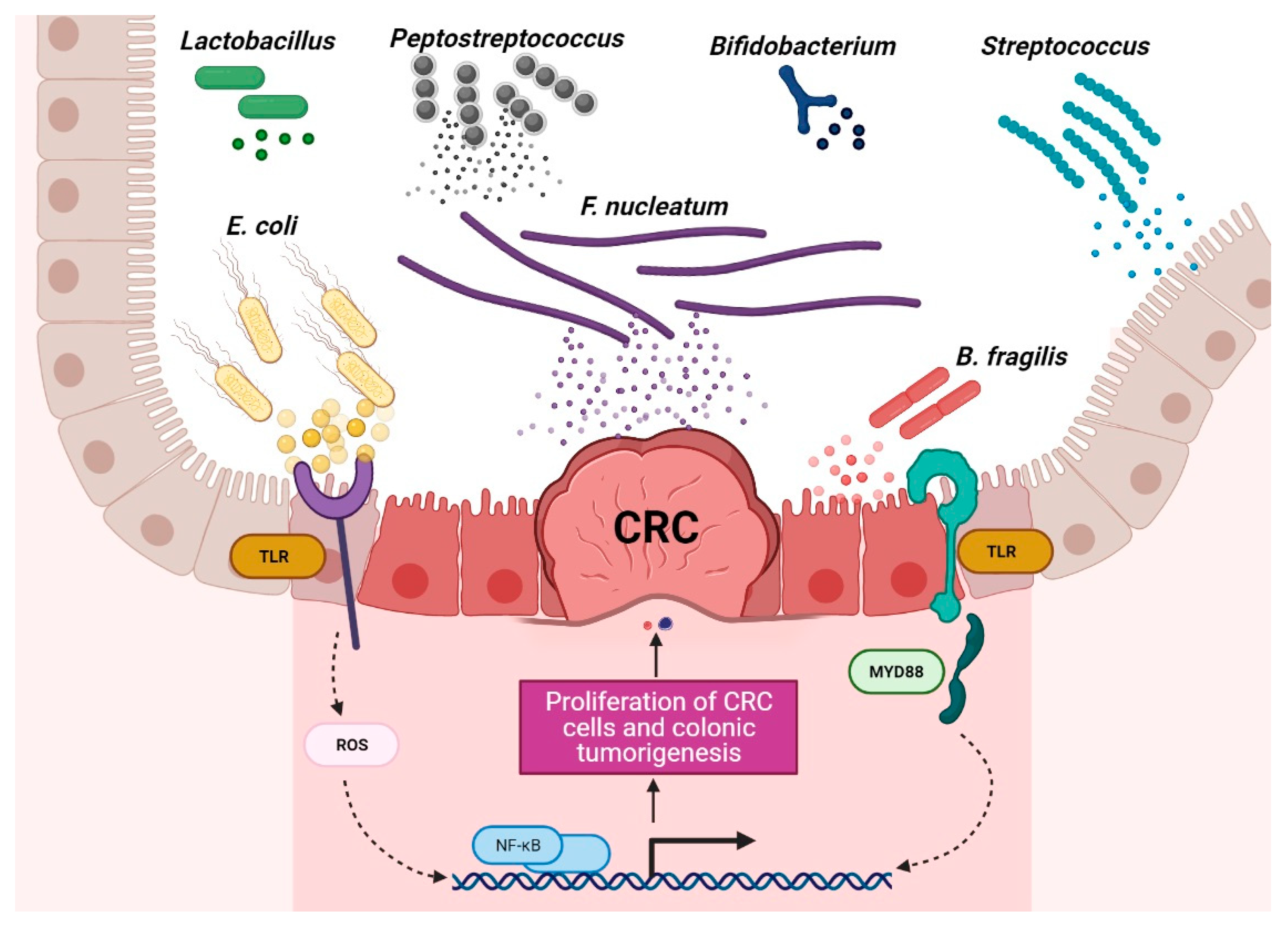 Microorganisms 09 01021 g001