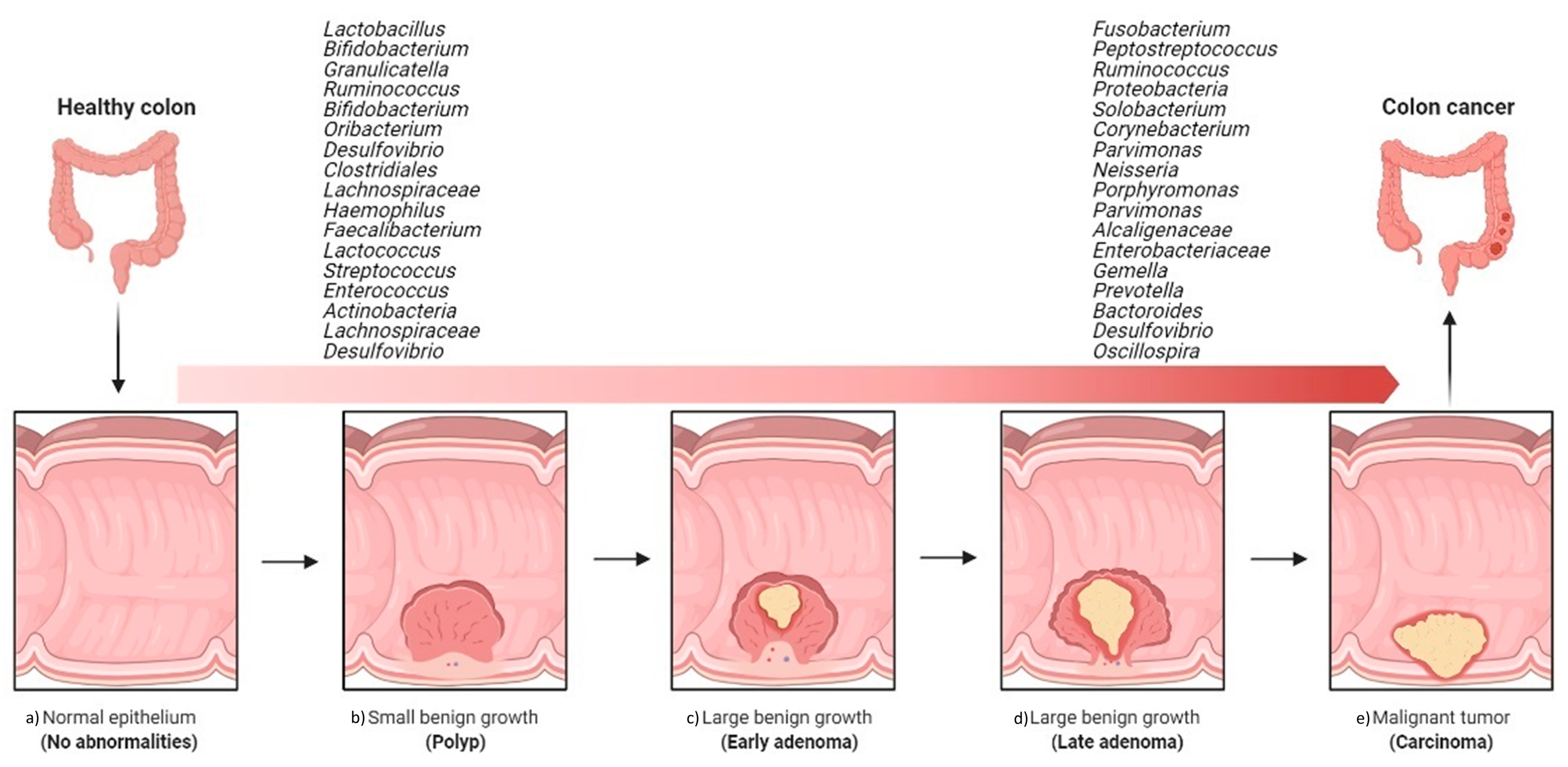 Microorganisms 09 01021 g002