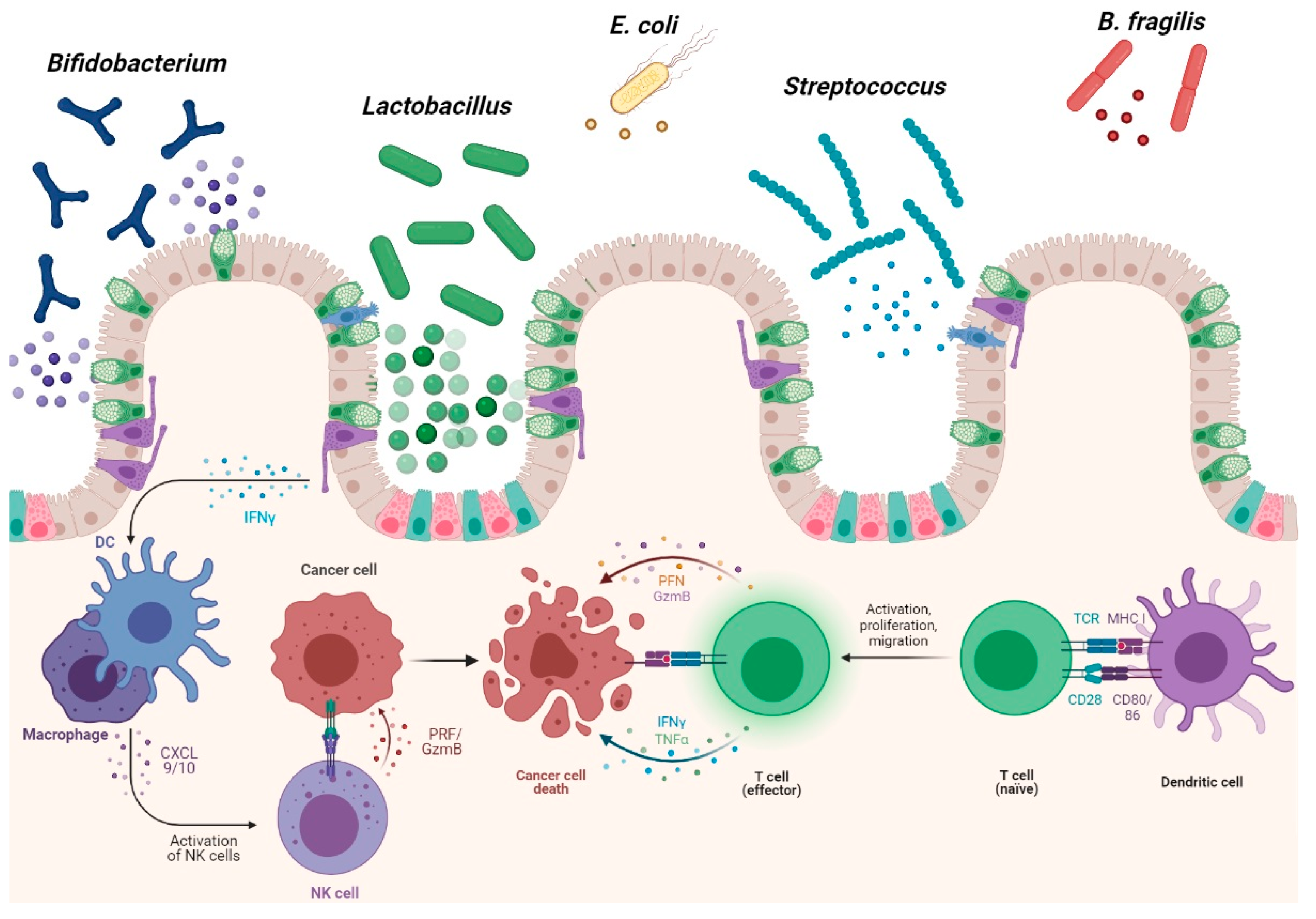 Microorganisms 09 01021 g004