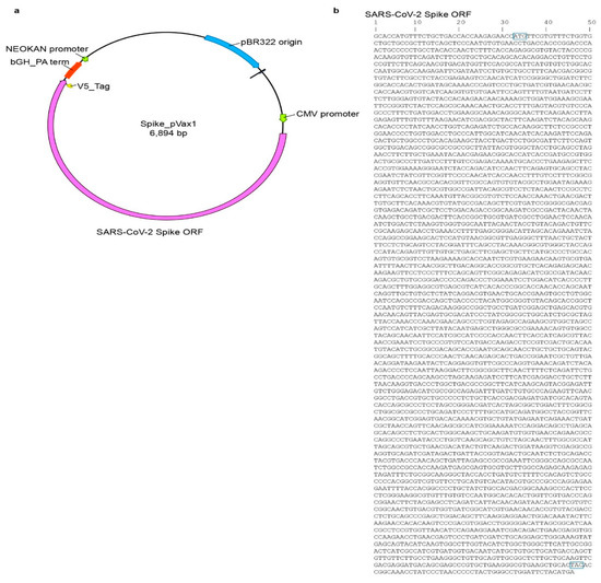 Microorganisms 09 01040 g0a1