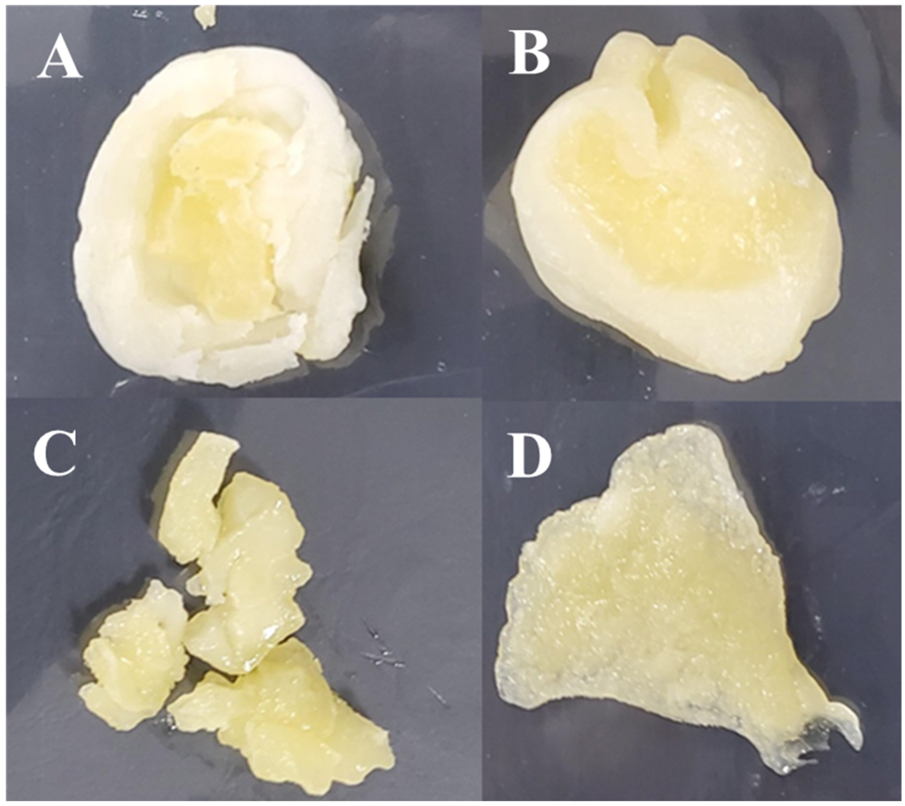 Microorganisms 09 01044 g005 Microorganisms 09 01044 g005